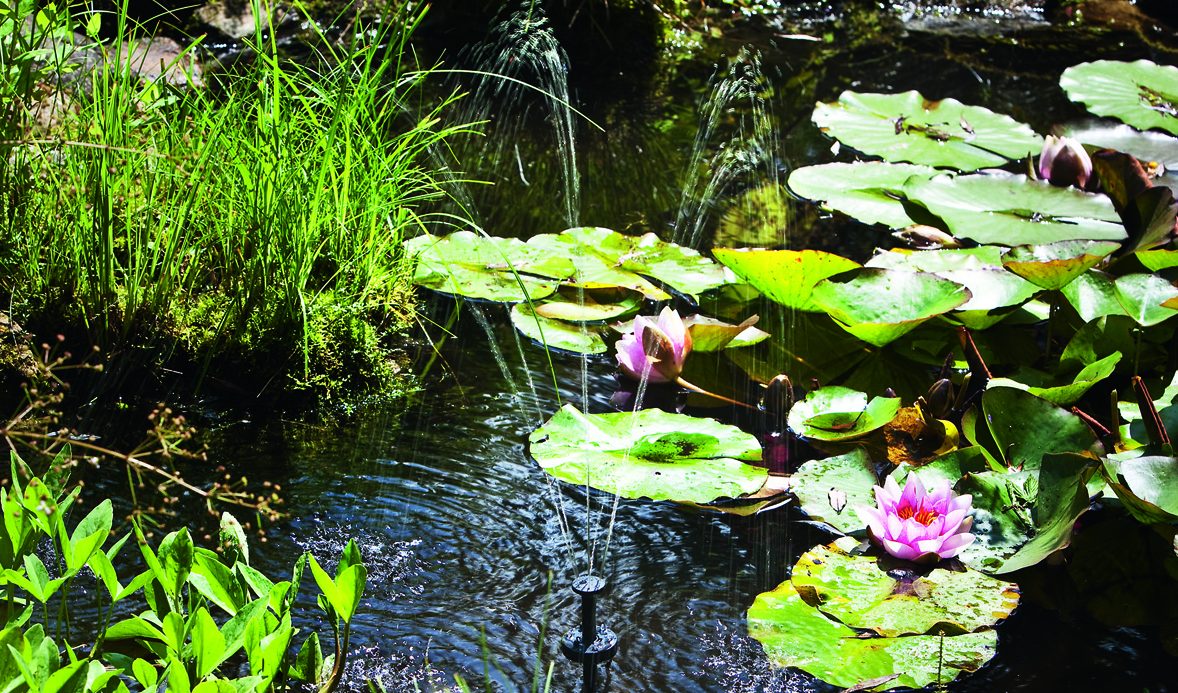 Fontäne im Teich
