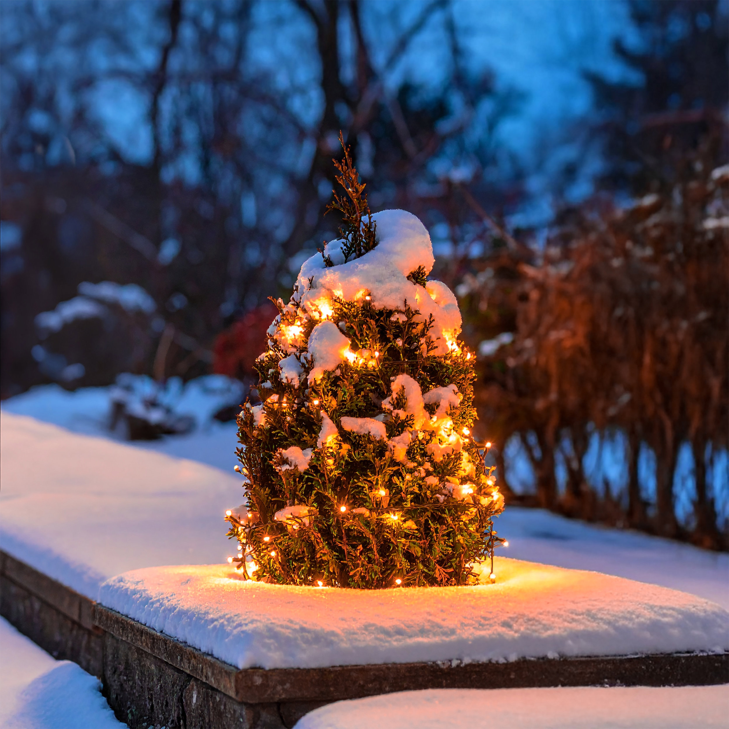 Solar Lichterkette mit 24 bernsteinfarbenen LEDs