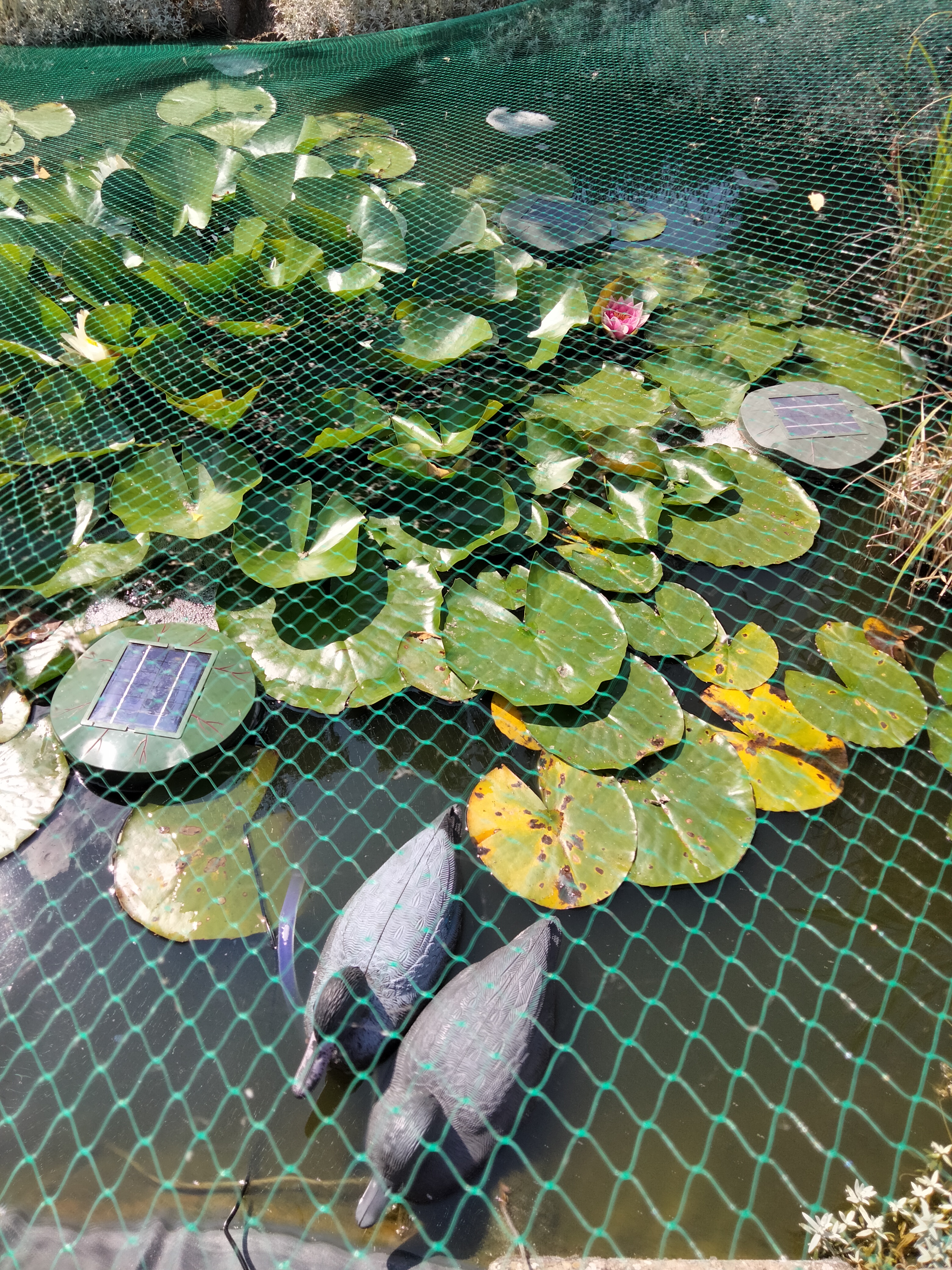 Bilder unserer Kunden