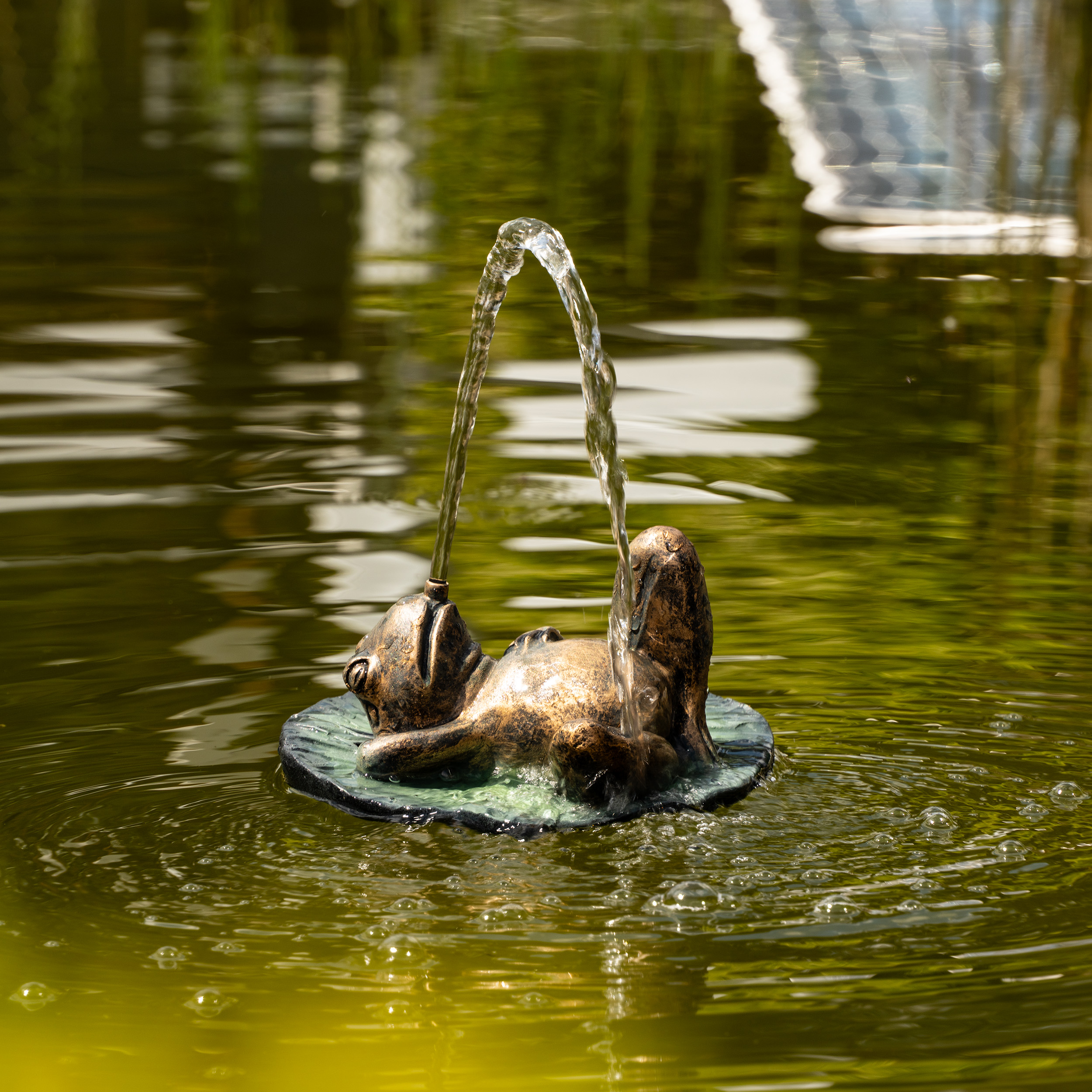 Solar Wasserspeier-Set treibender Frosch auf Seerosenblatt