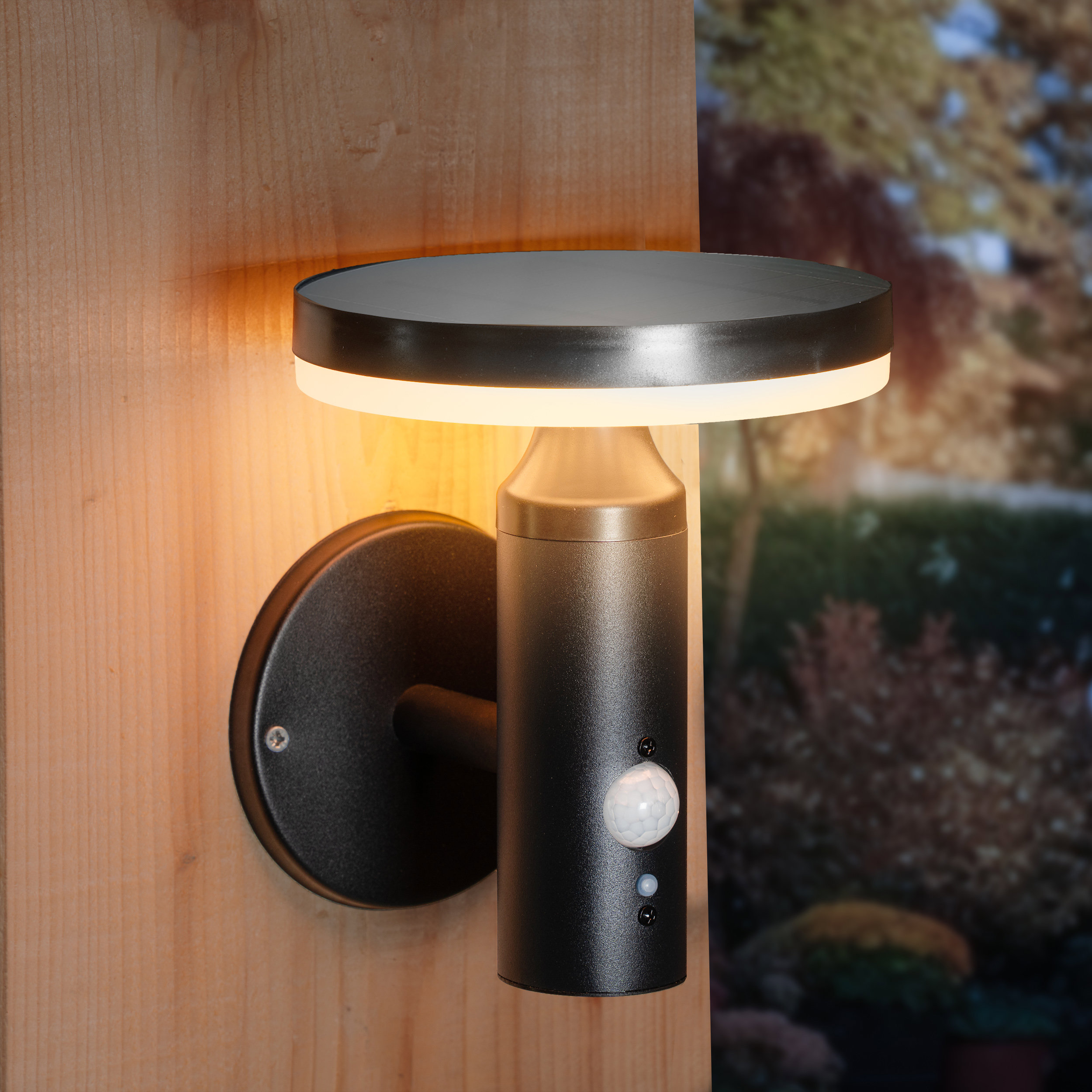 Solar Wandleuchte Ribolla mit Bewegungssensor