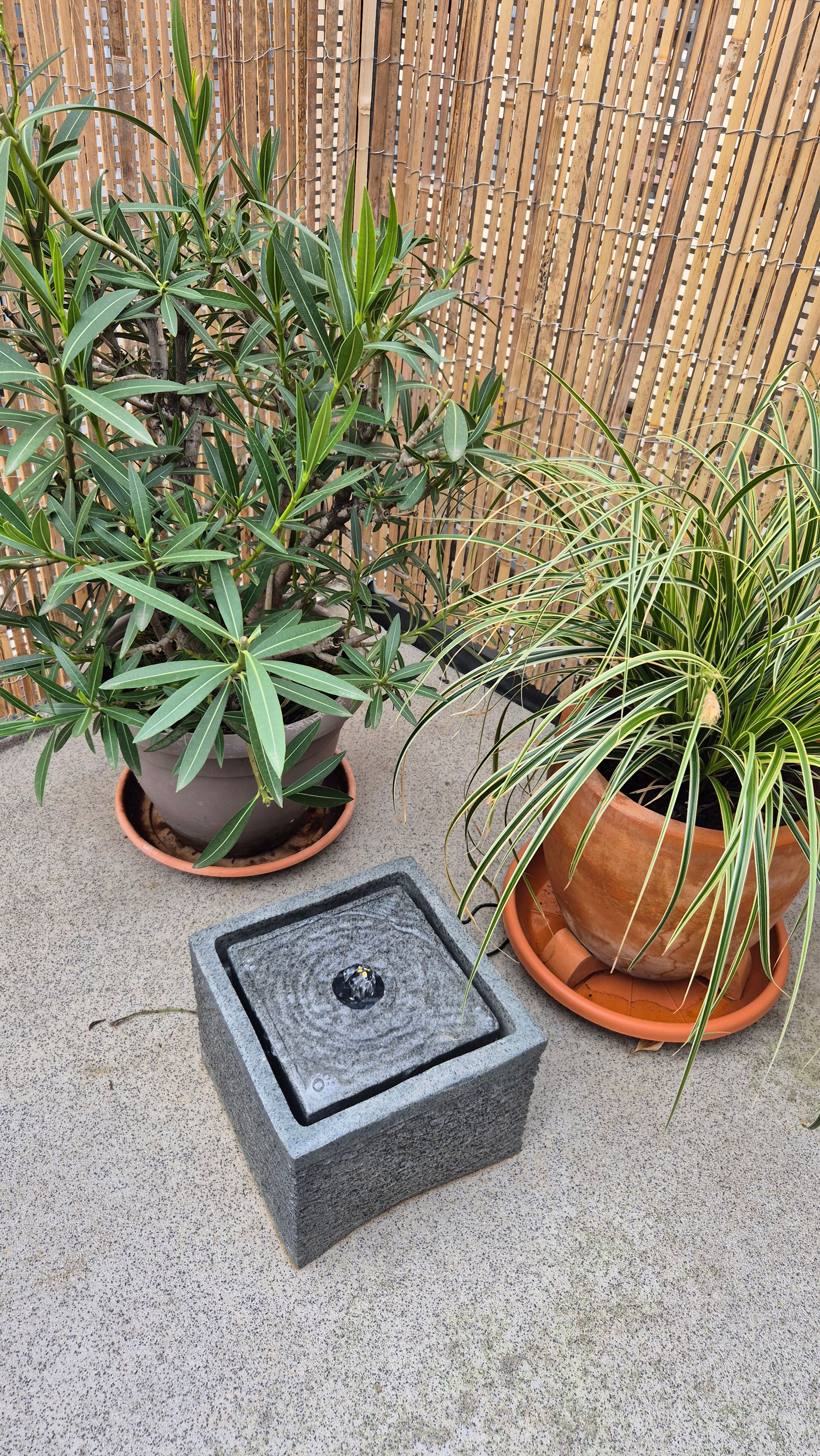 Bilder unserer Kunden
