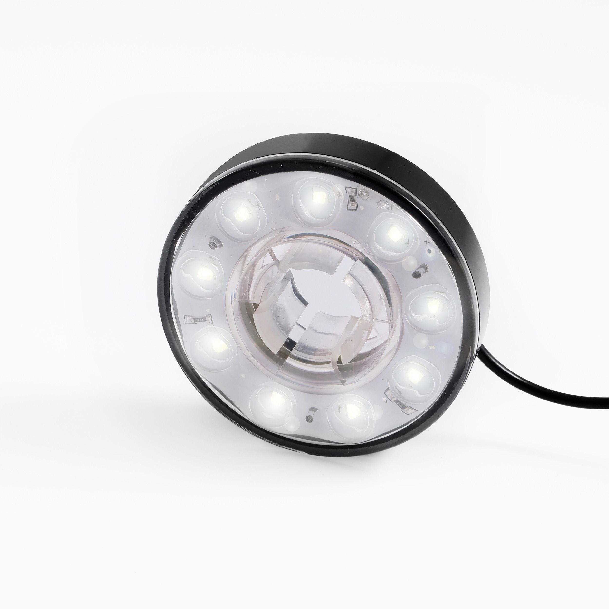 LED Lichtring 9 - 14 VDC mit 9 LEDs, kaltweiß