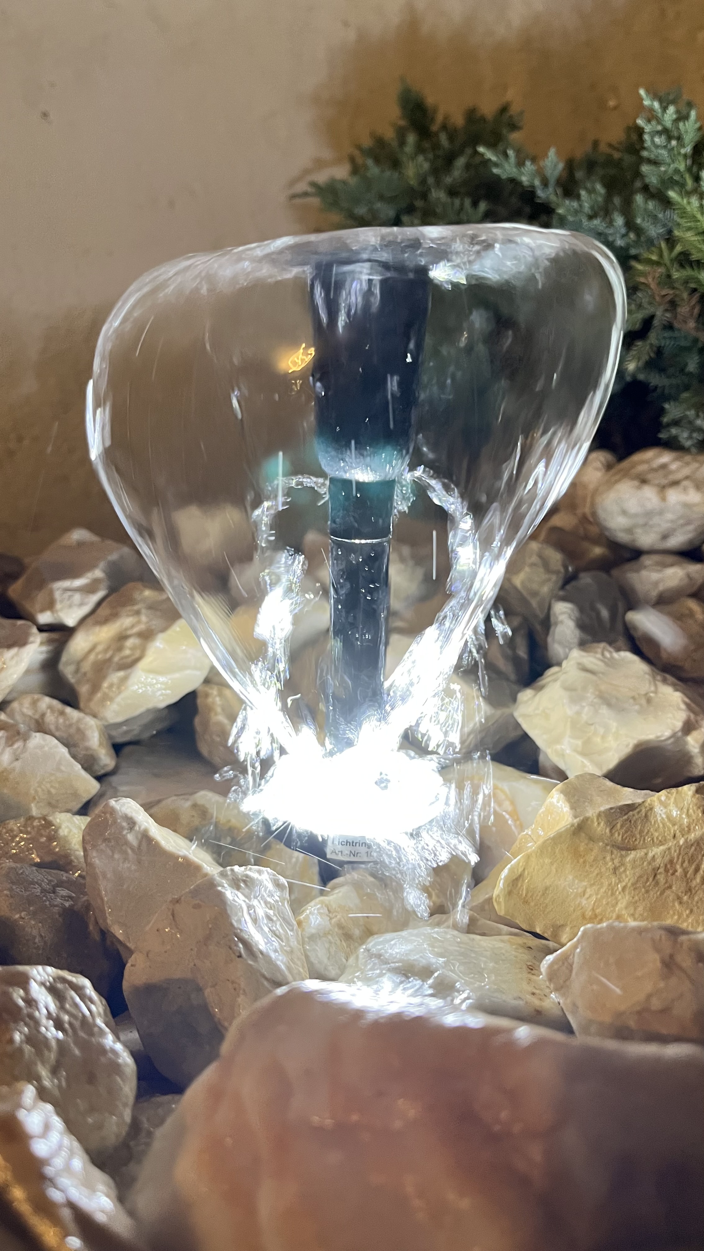 Bilder unserer Kunden