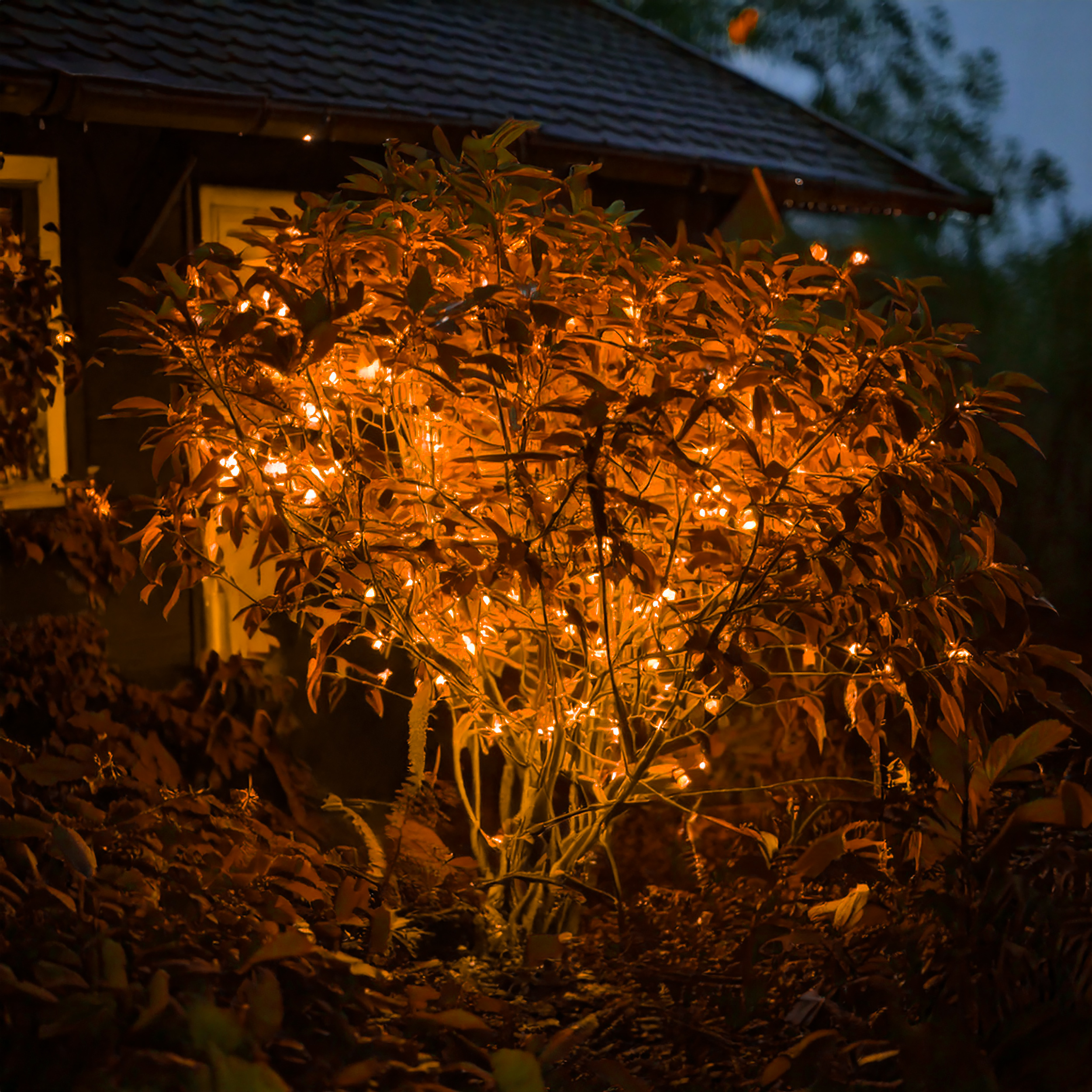 Solar Lichterkette mit 60 bernsteinfarbenen LEDs