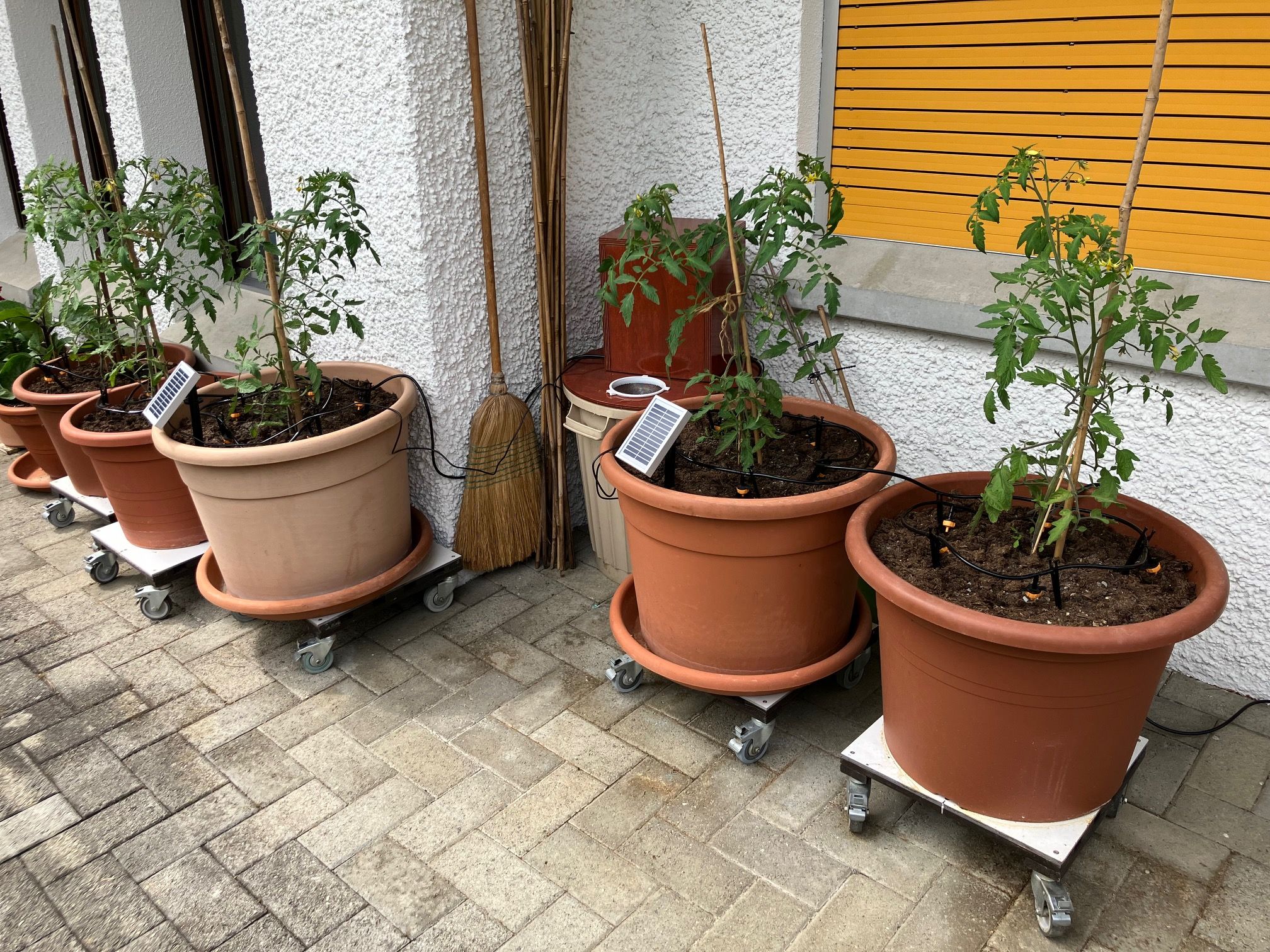 Bilder unserer Kunden