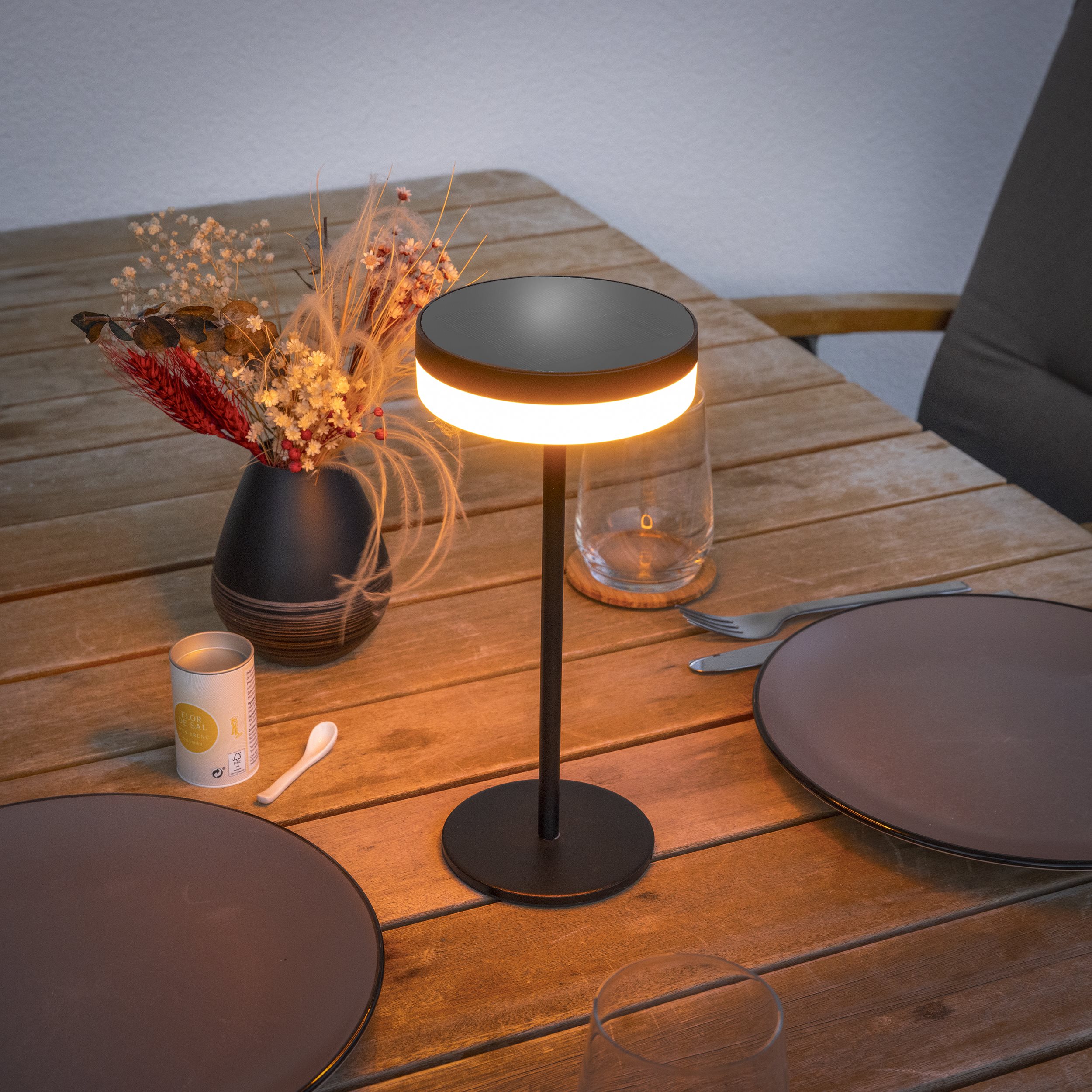 Solar Sensor Tisch- und Leseleuchte Ella, dimmbar