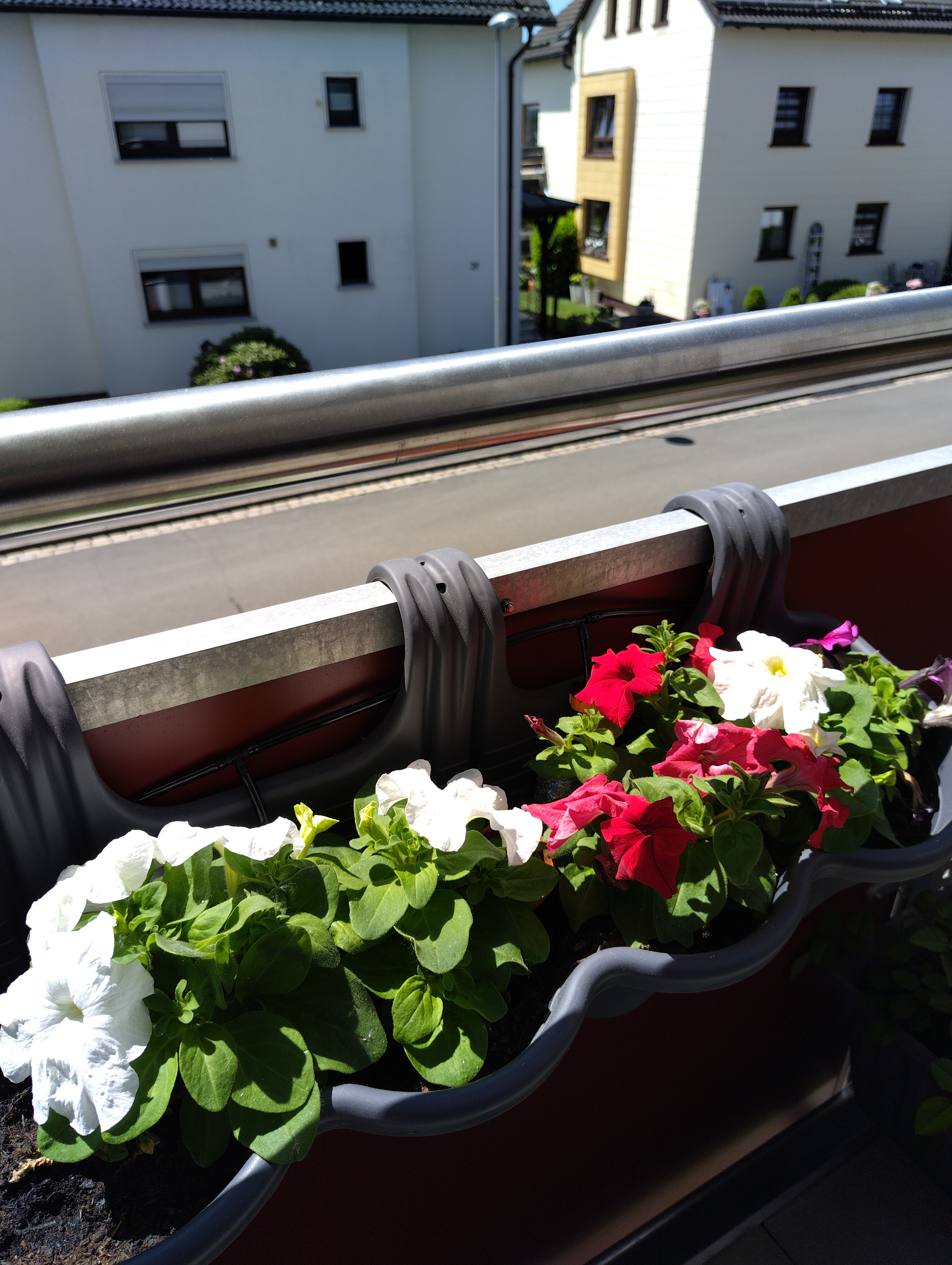 Bilder unserer Kunden