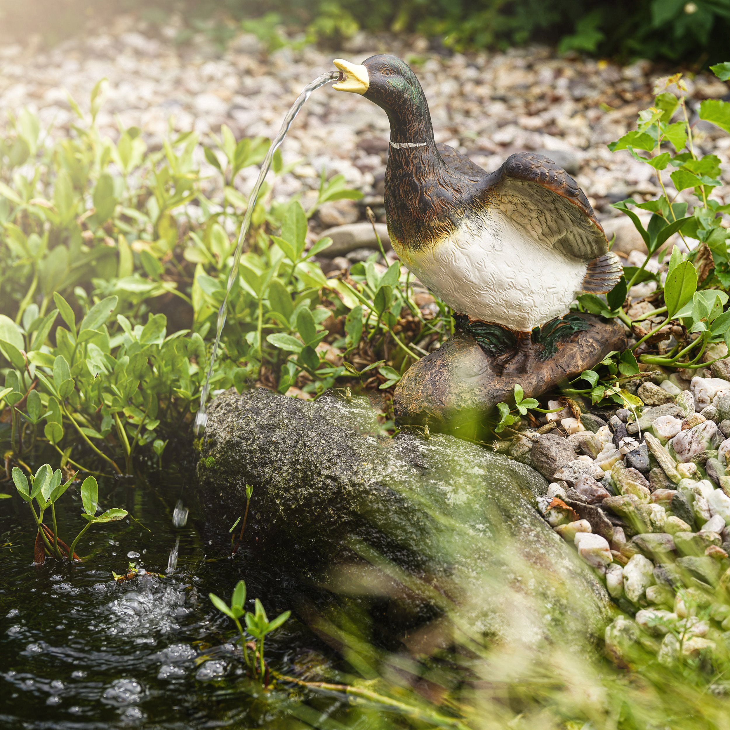Solar Wasserspeier-Set Enterich