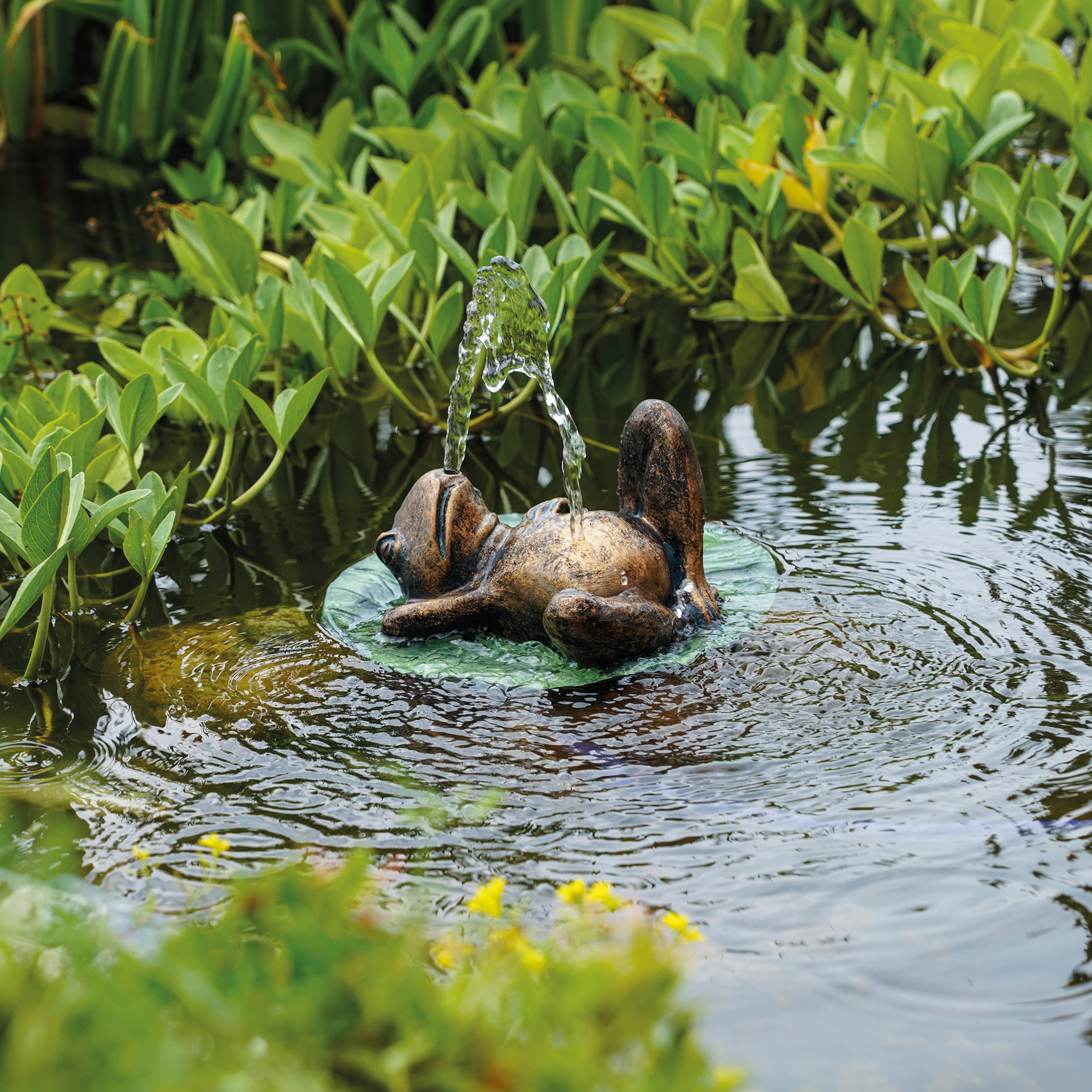 Solar Wasserspeier-Set treibender Frosch auf Seerosenblatt
