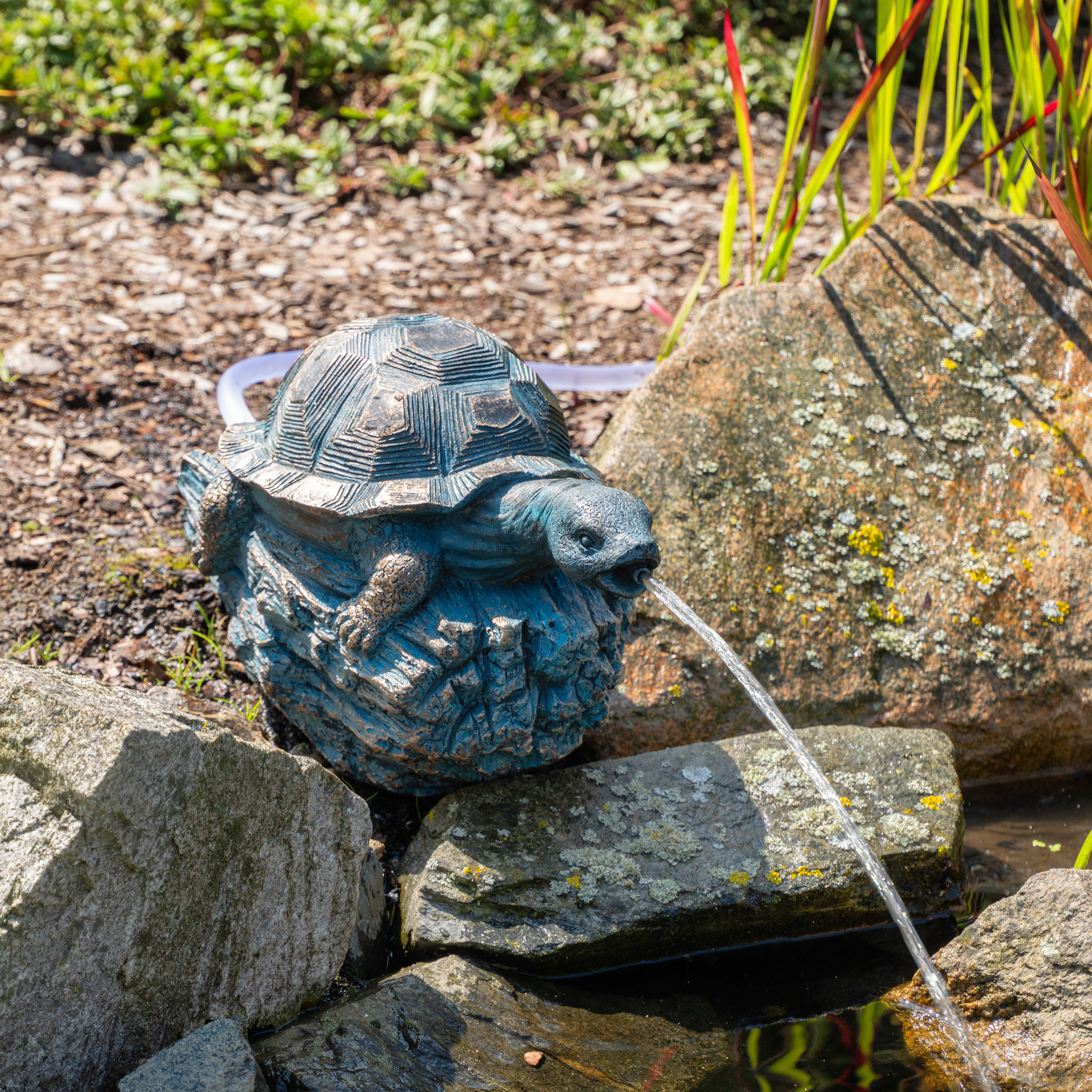 Solar Wasserspeier-Set Schildkröte Marlies