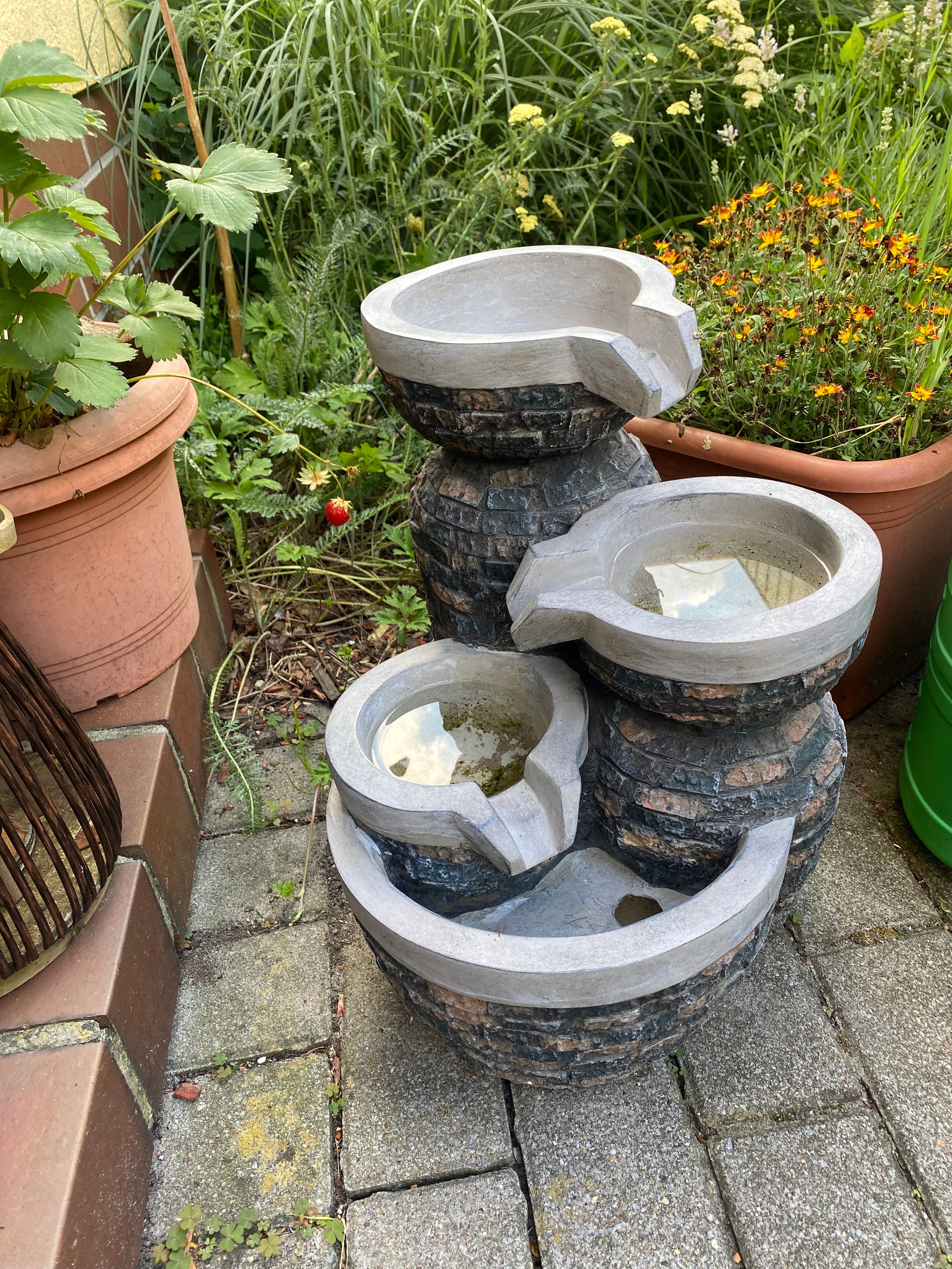 Bilder unserer Kunden
