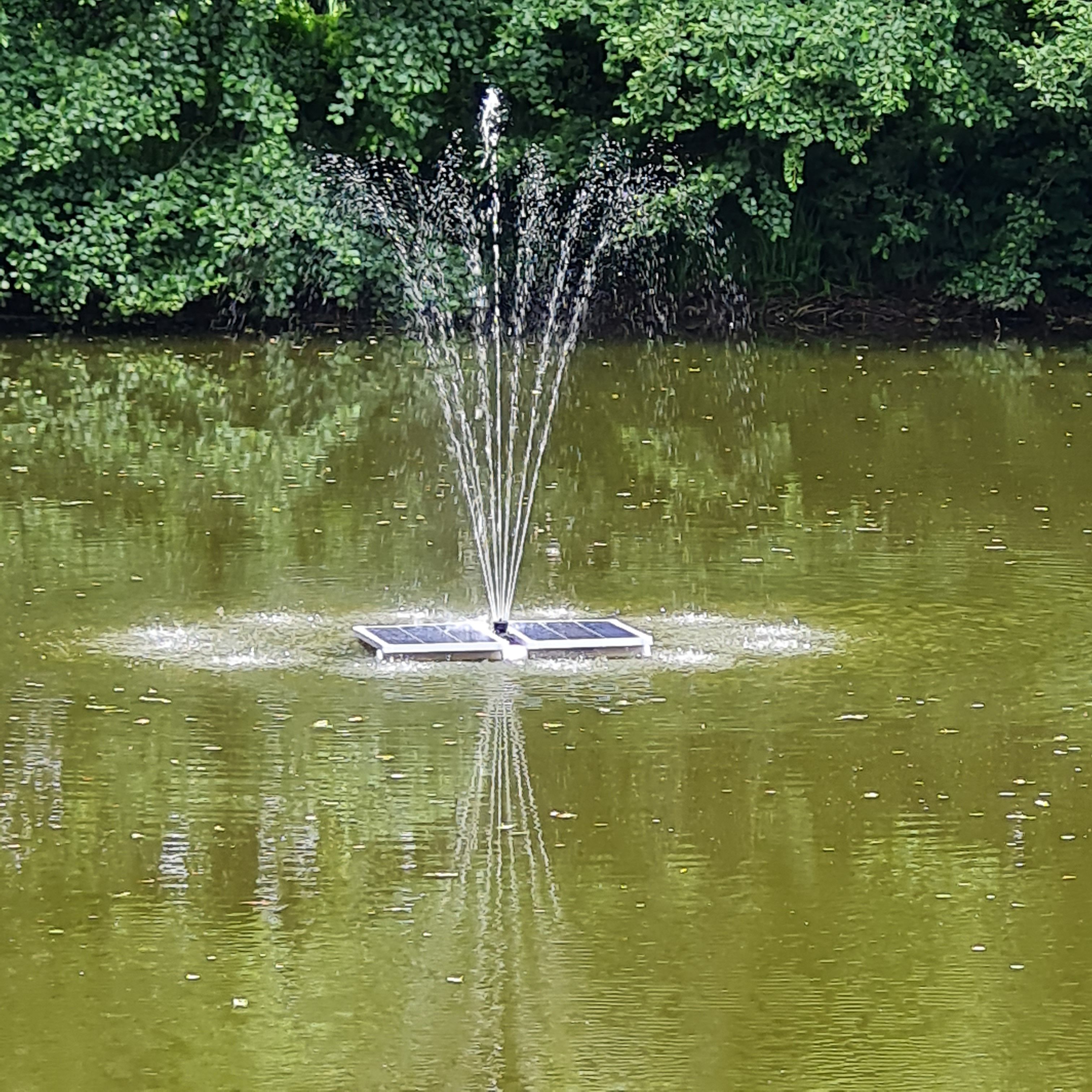 Bilder unserer Kunden