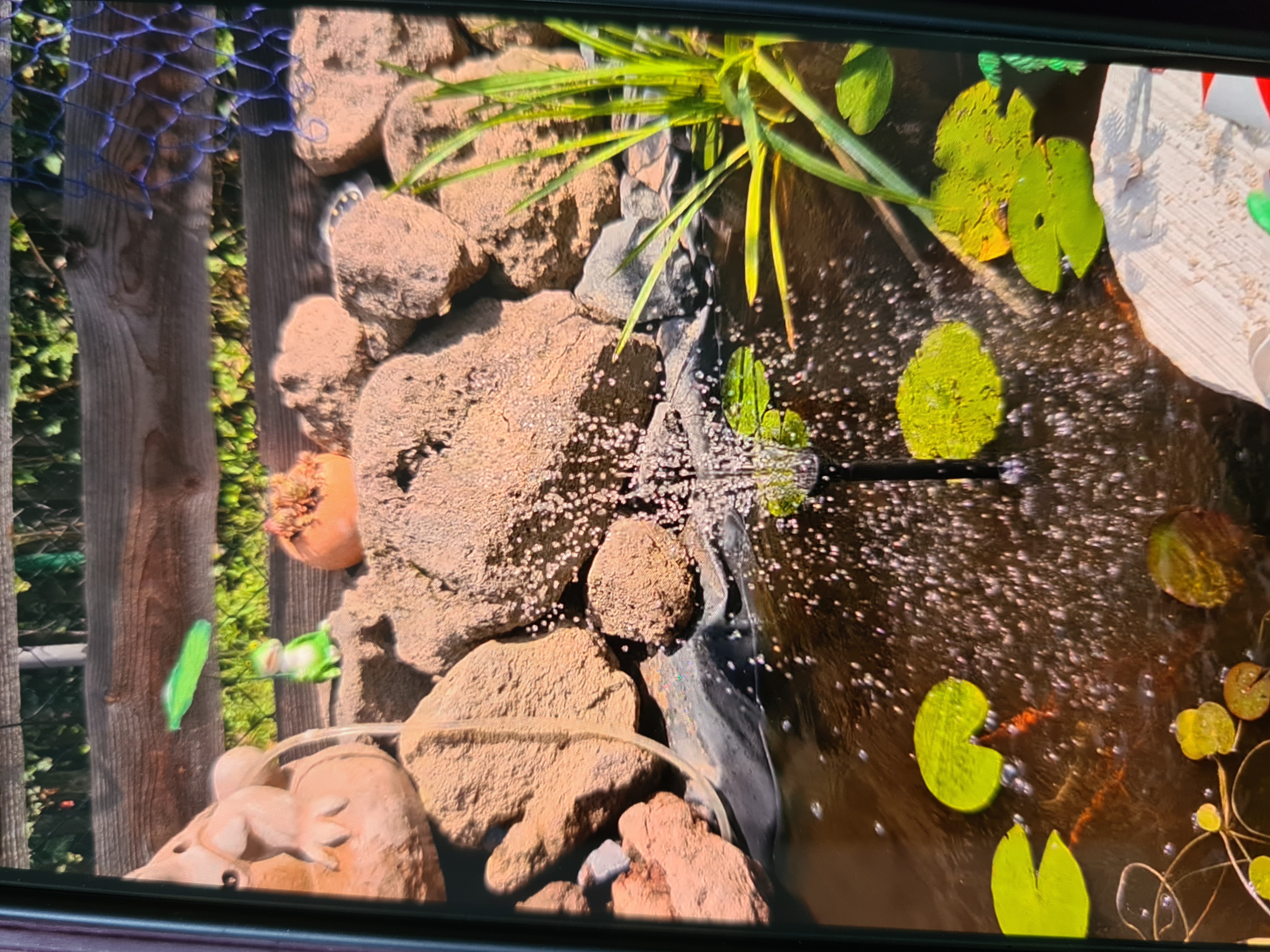 Bilder unserer Kunden