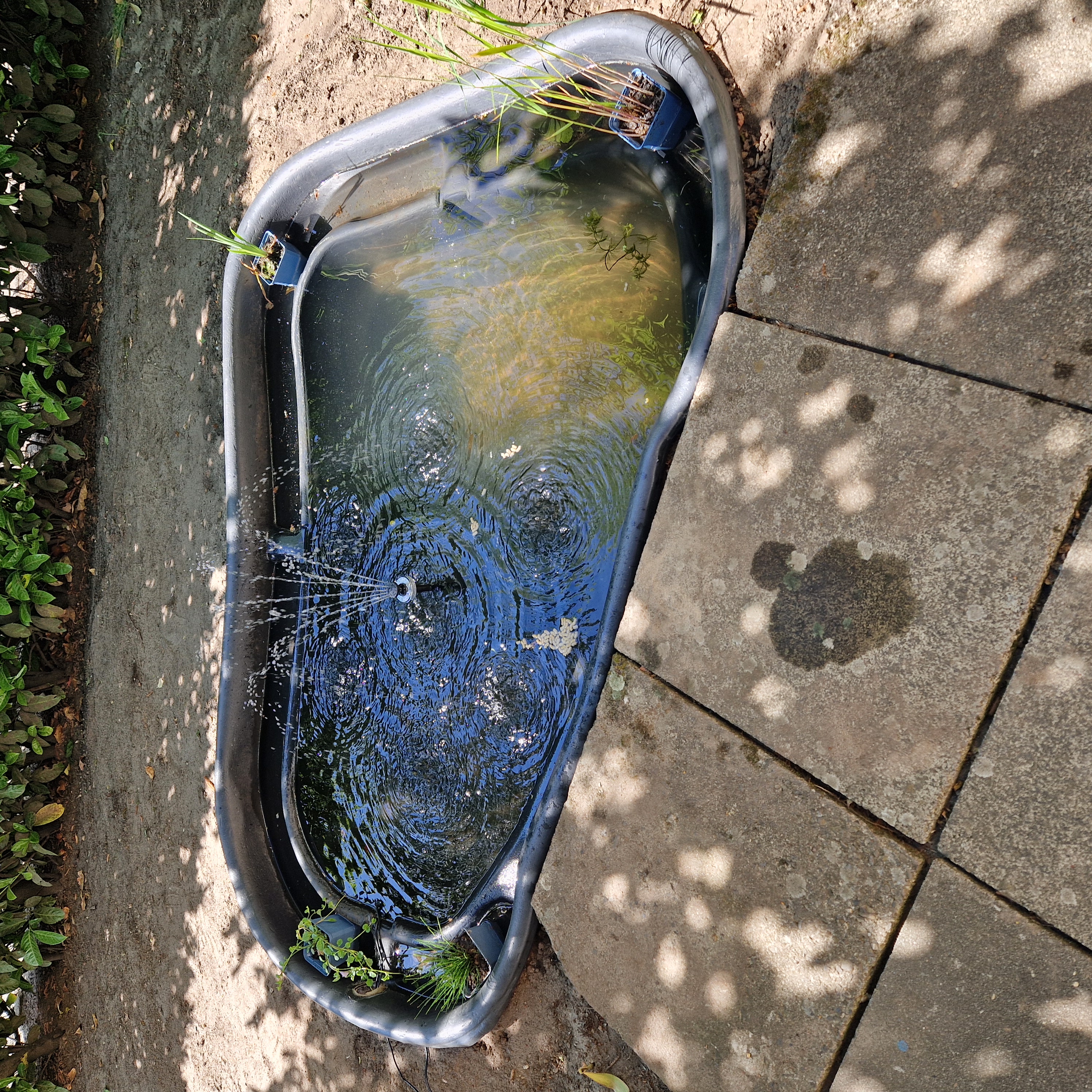 Bilder unserer Kunden