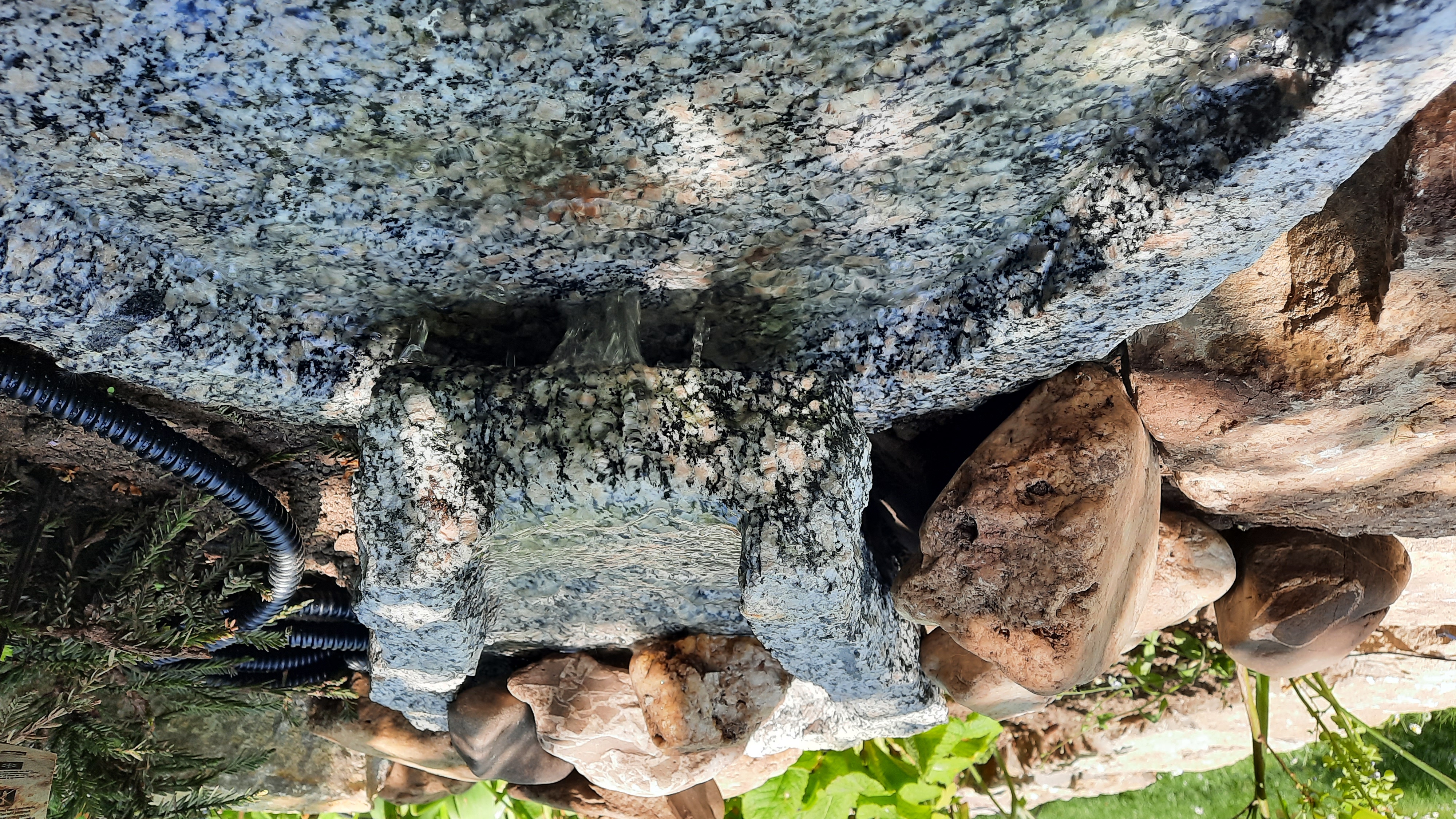 Bilder unserer Kunden