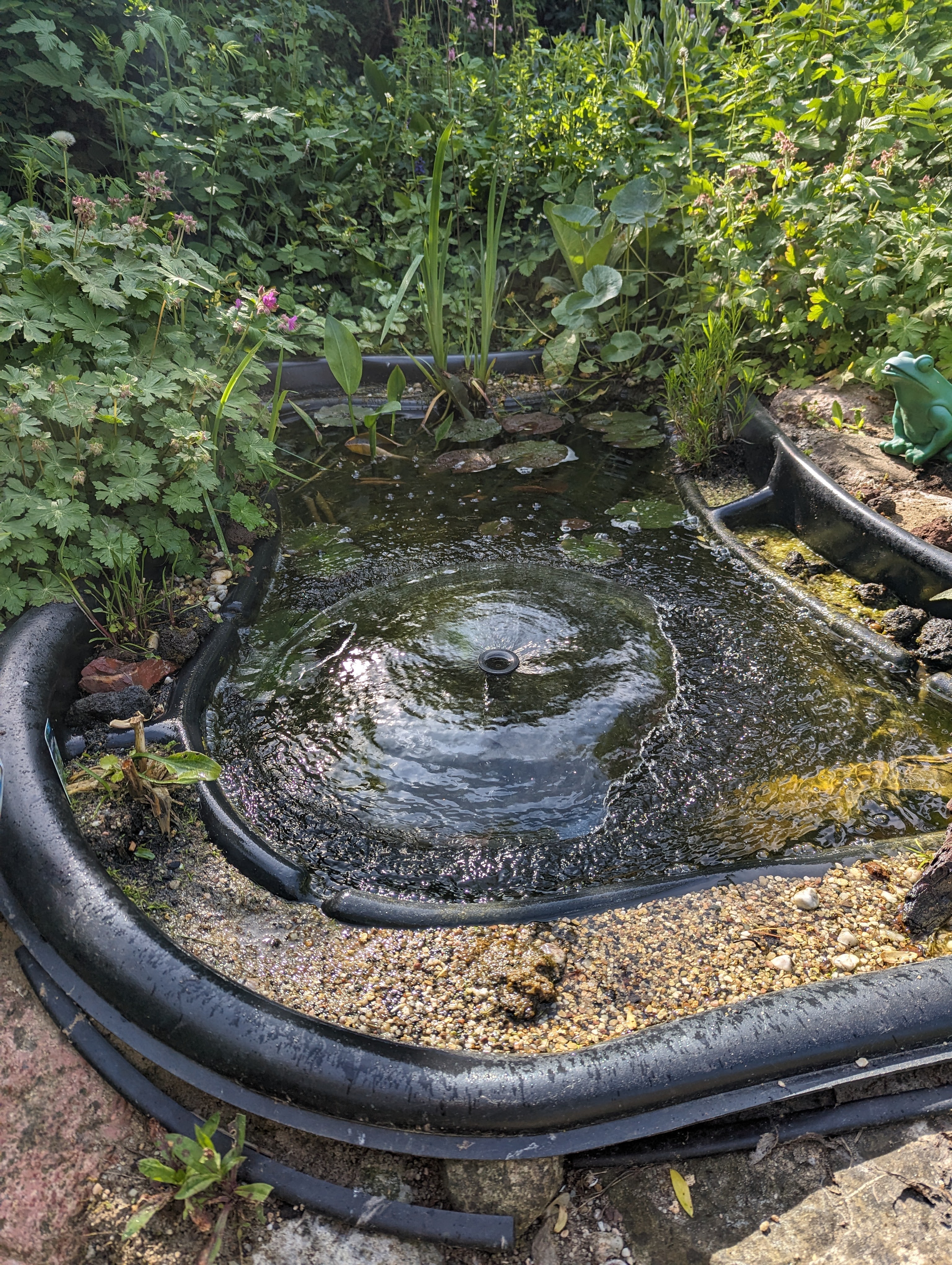 Bilder unserer Kunden