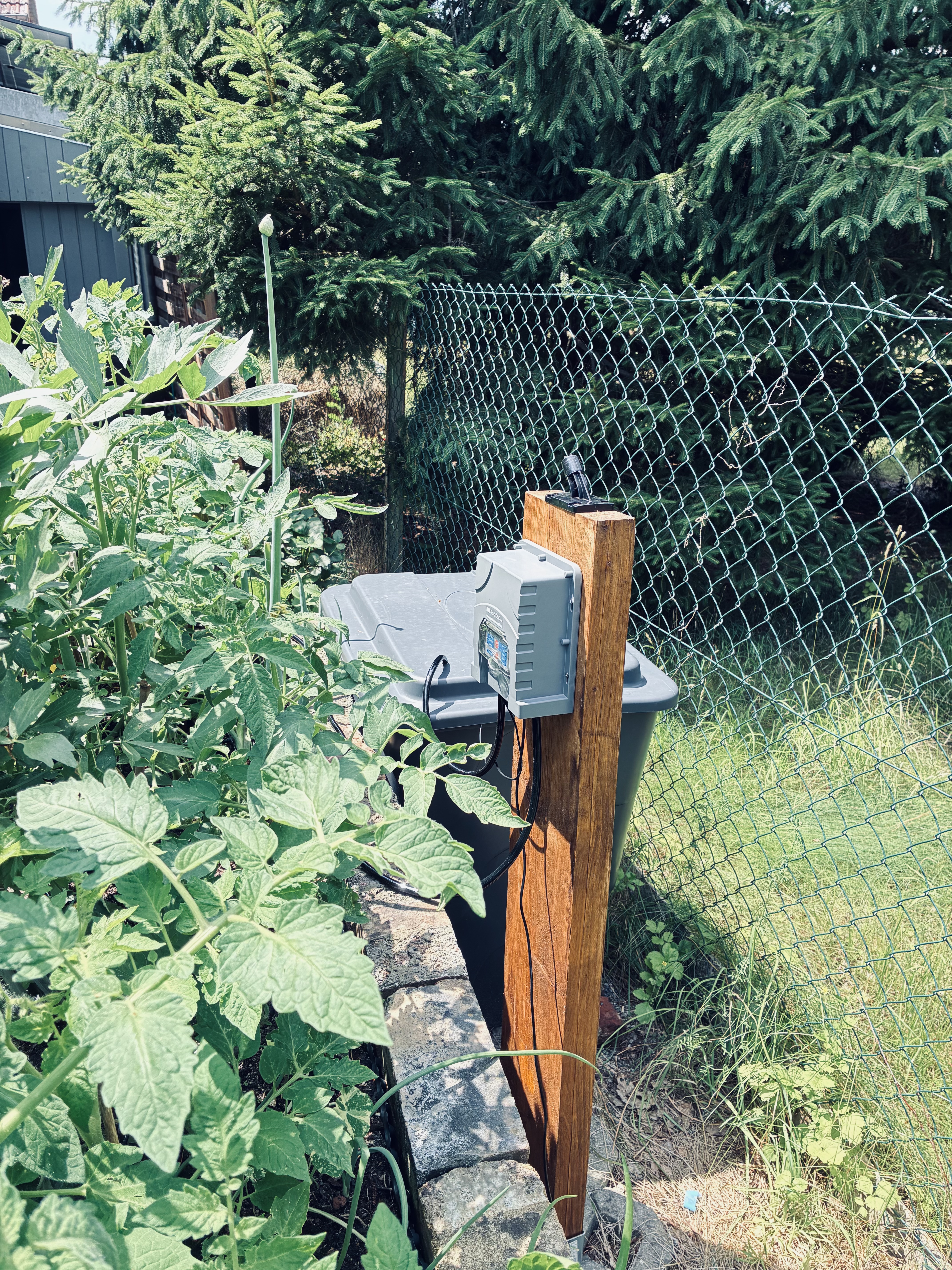 Bilder unserer Kunden