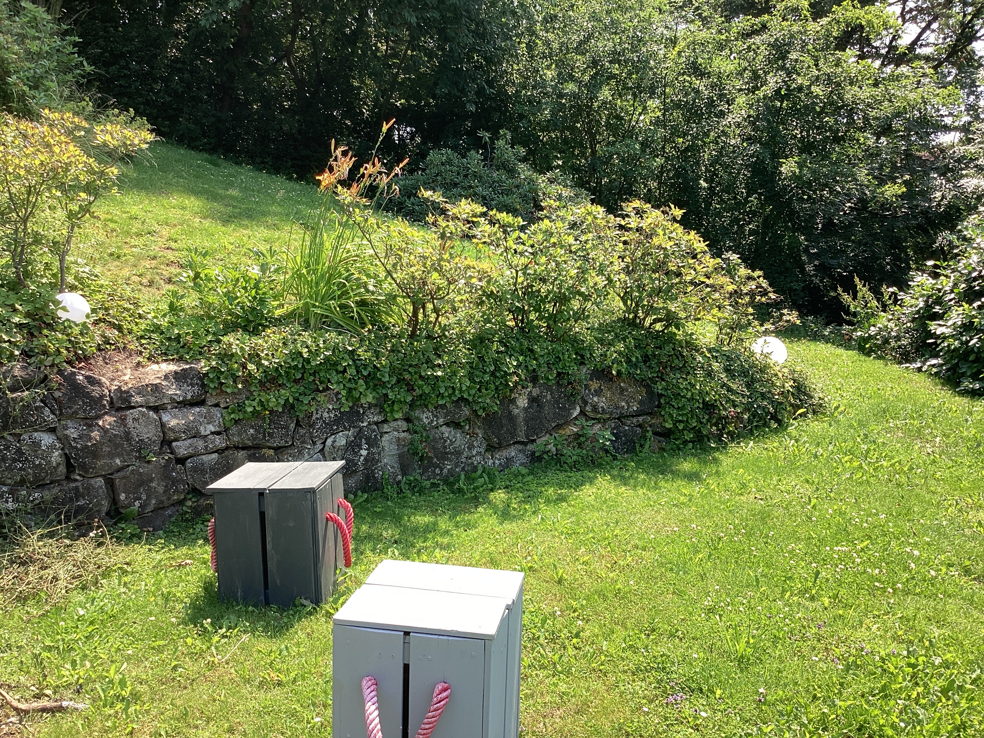 Bilder unserer Kunden