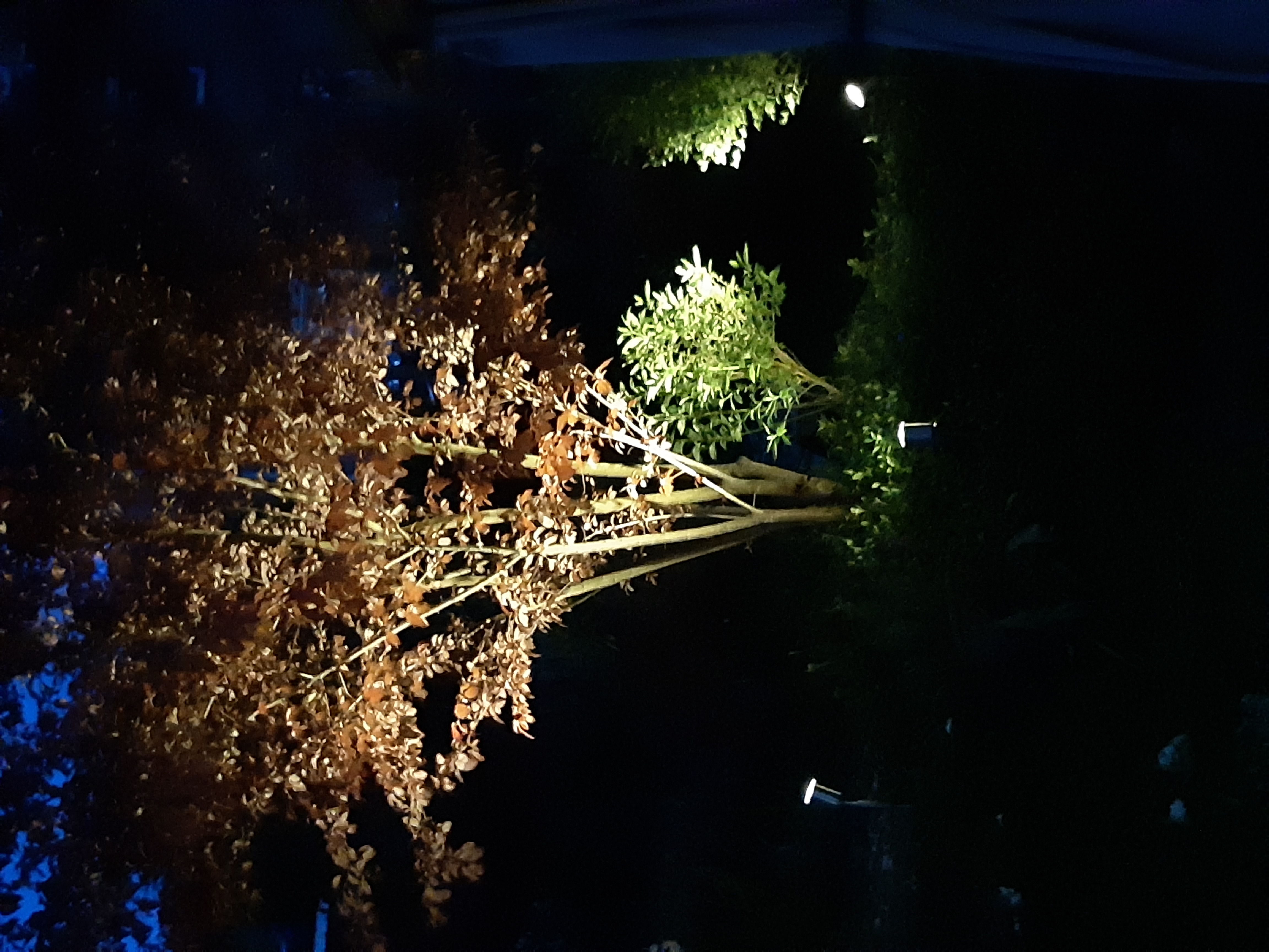 Bilder unserer Kunden