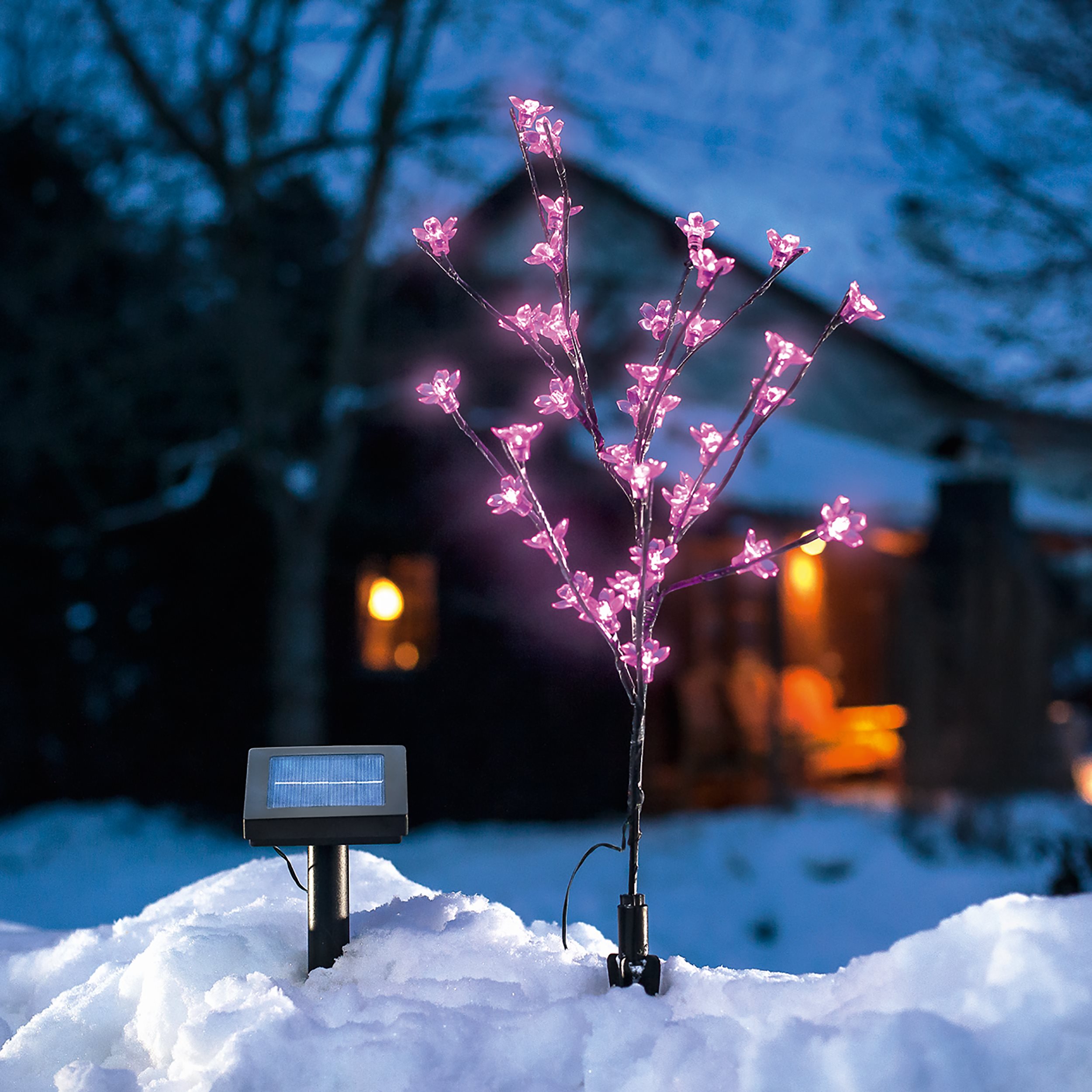 Solar Blütenstrauch mit 36 pinkfarbenen Leuchtblüten