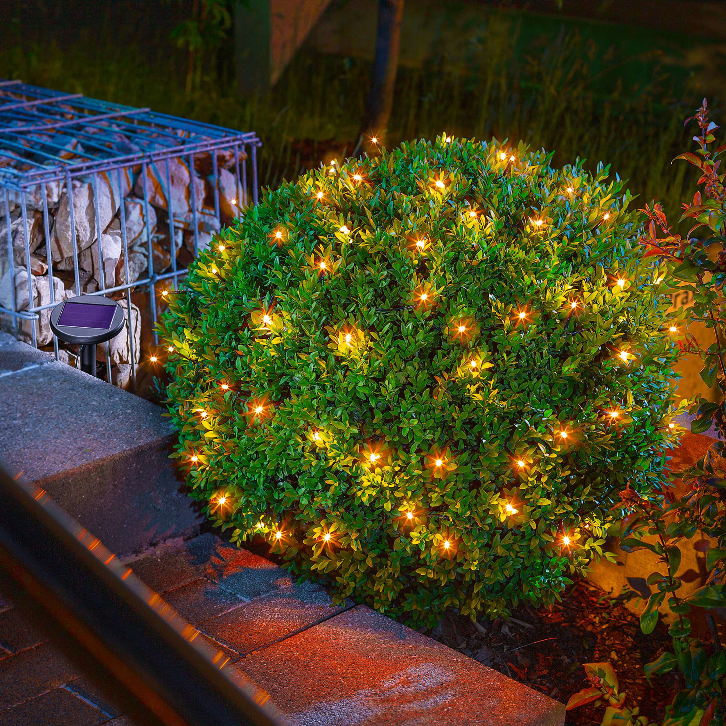 Solar Lichterkette mit 60 bernsteinfarbenen LEDs