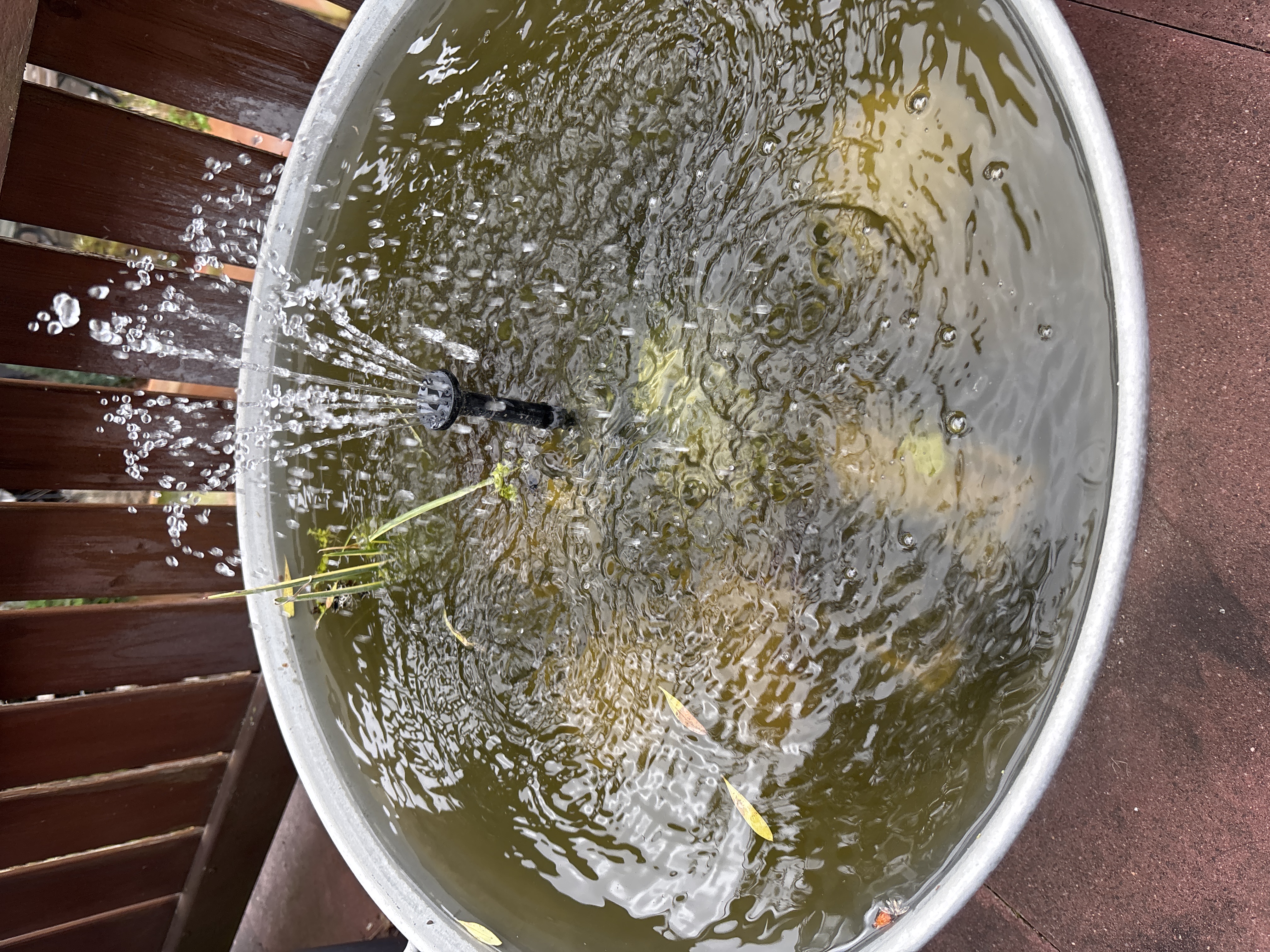 Bilder unserer Kunden