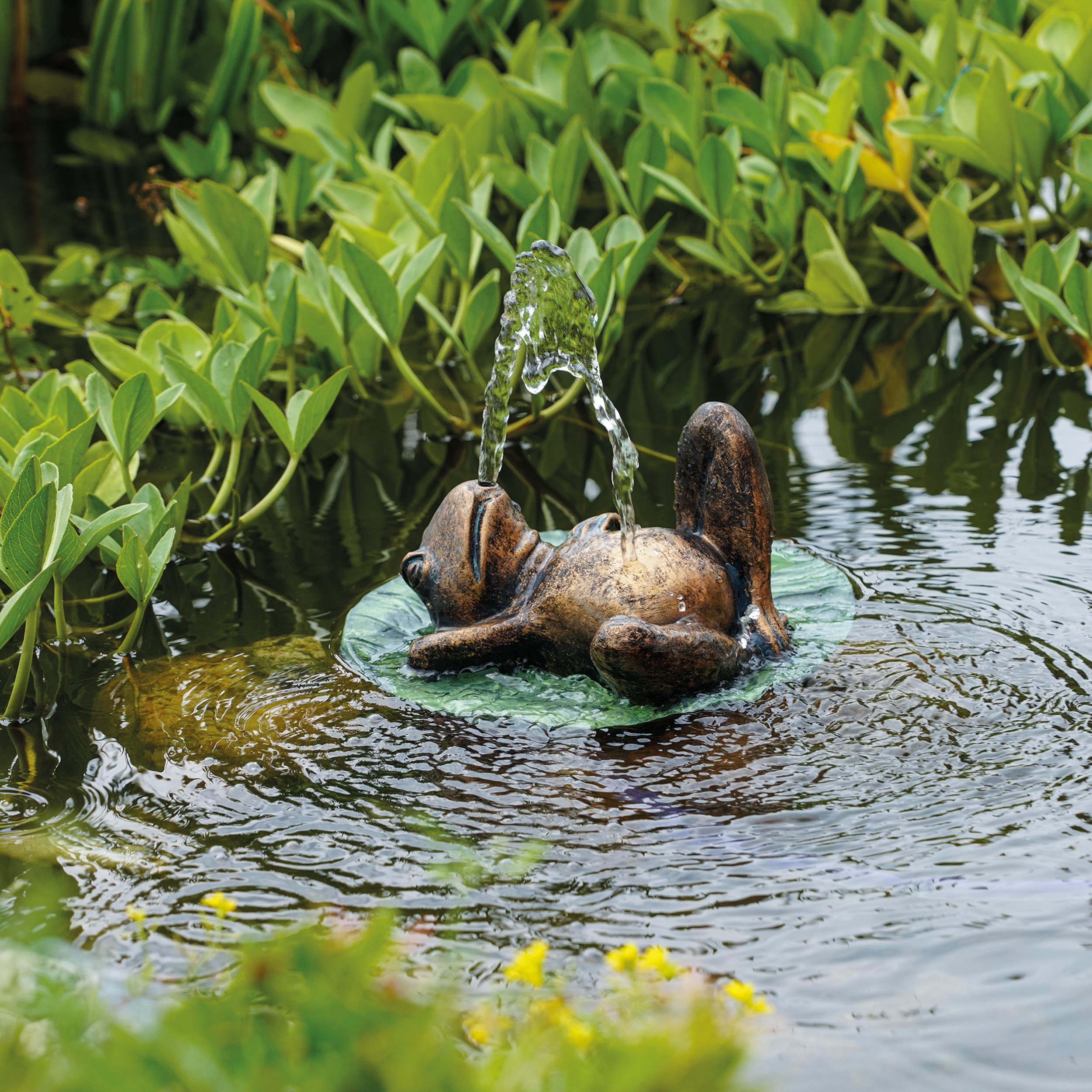 Solar Wasserspeier-Set Frosch liegend auf Seerosenblatt