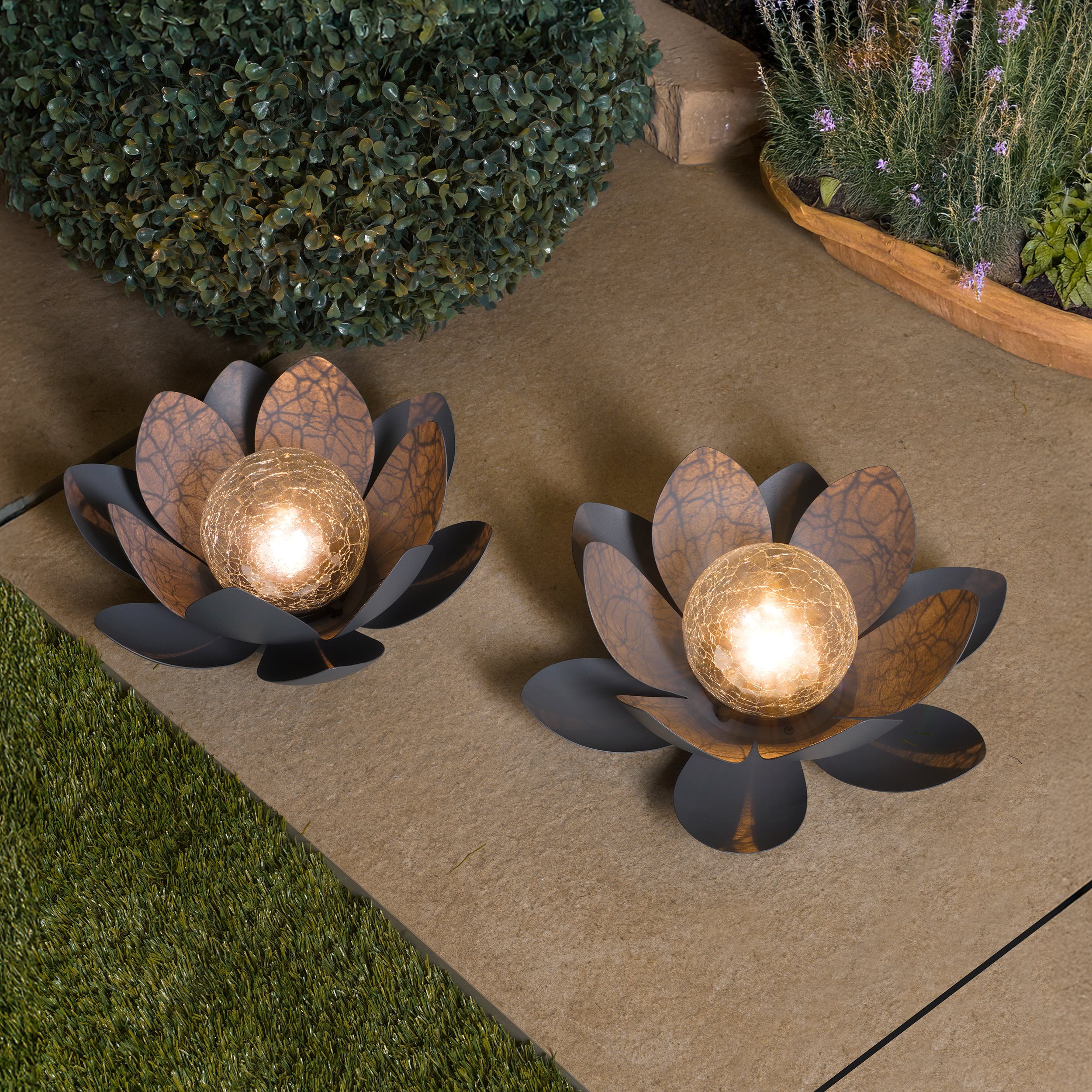 Bezauberndes Solar Lotusblüten Duett