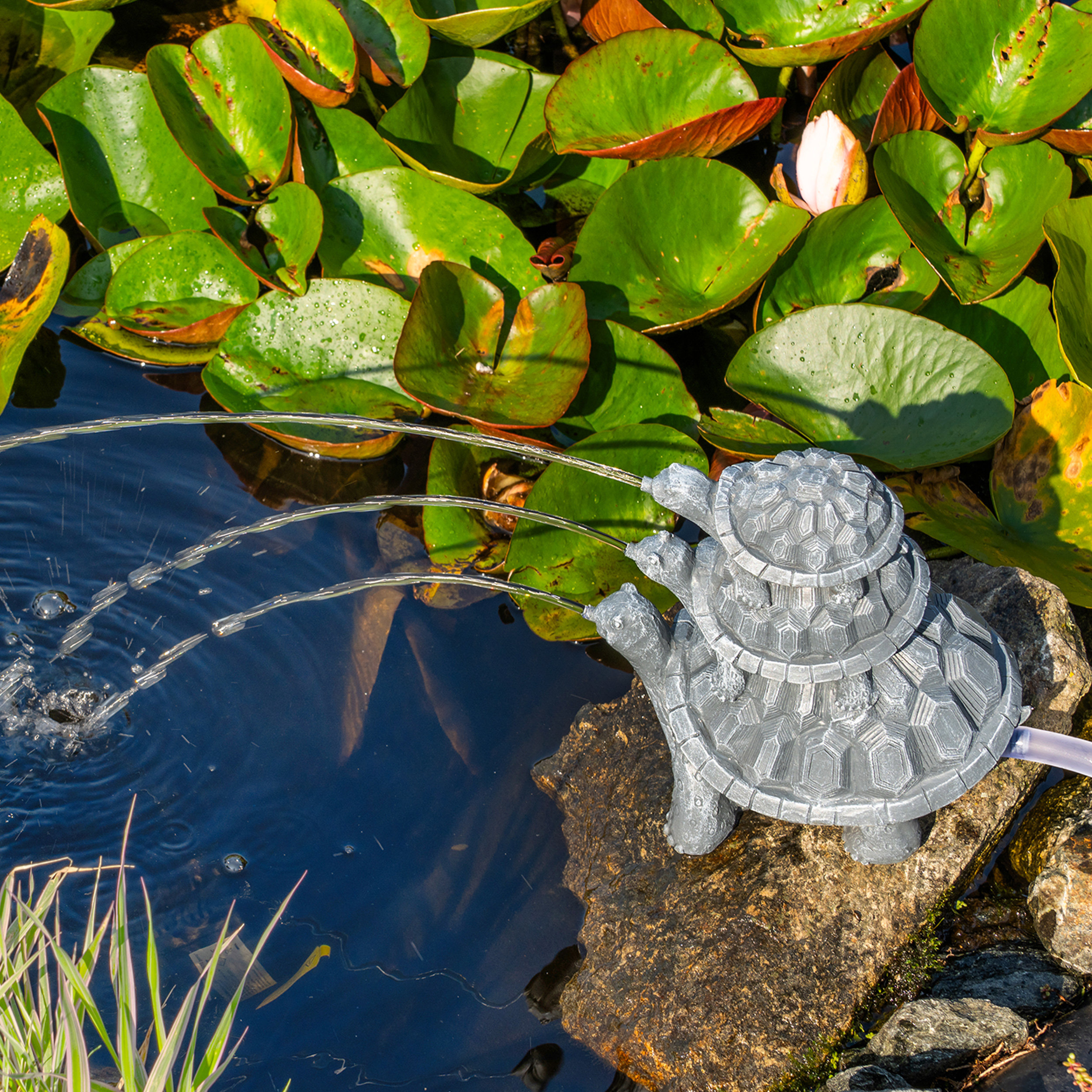 Solar Wasserspeierset Schildkröten Trio