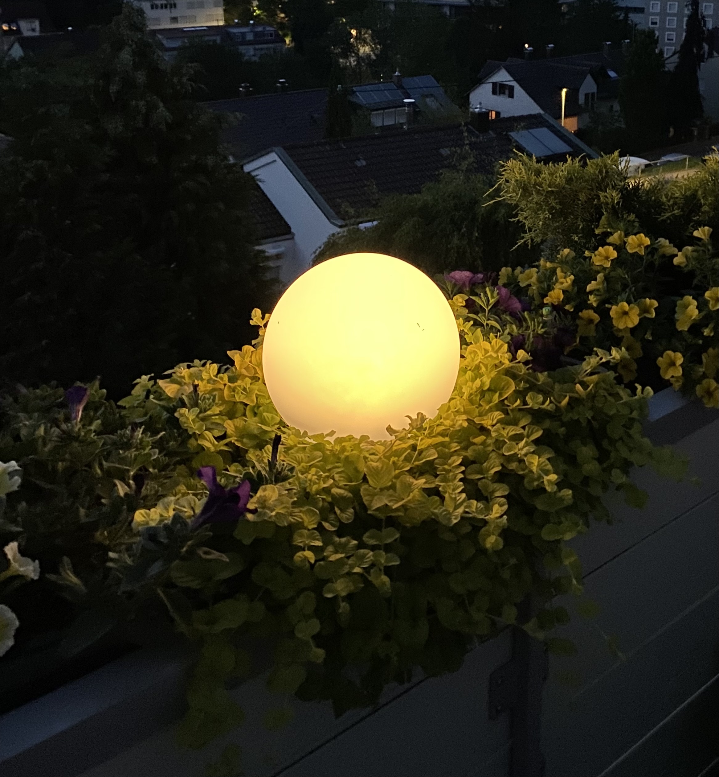 Bilder unserer Kunden