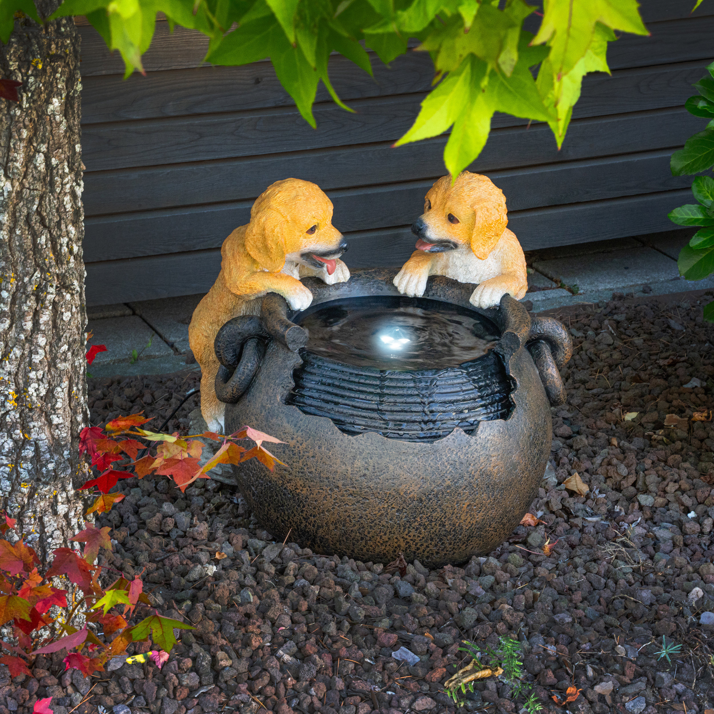 Solarbrunnen Hundewelpen Milo und Buddy am Brunnen mit LED Licht