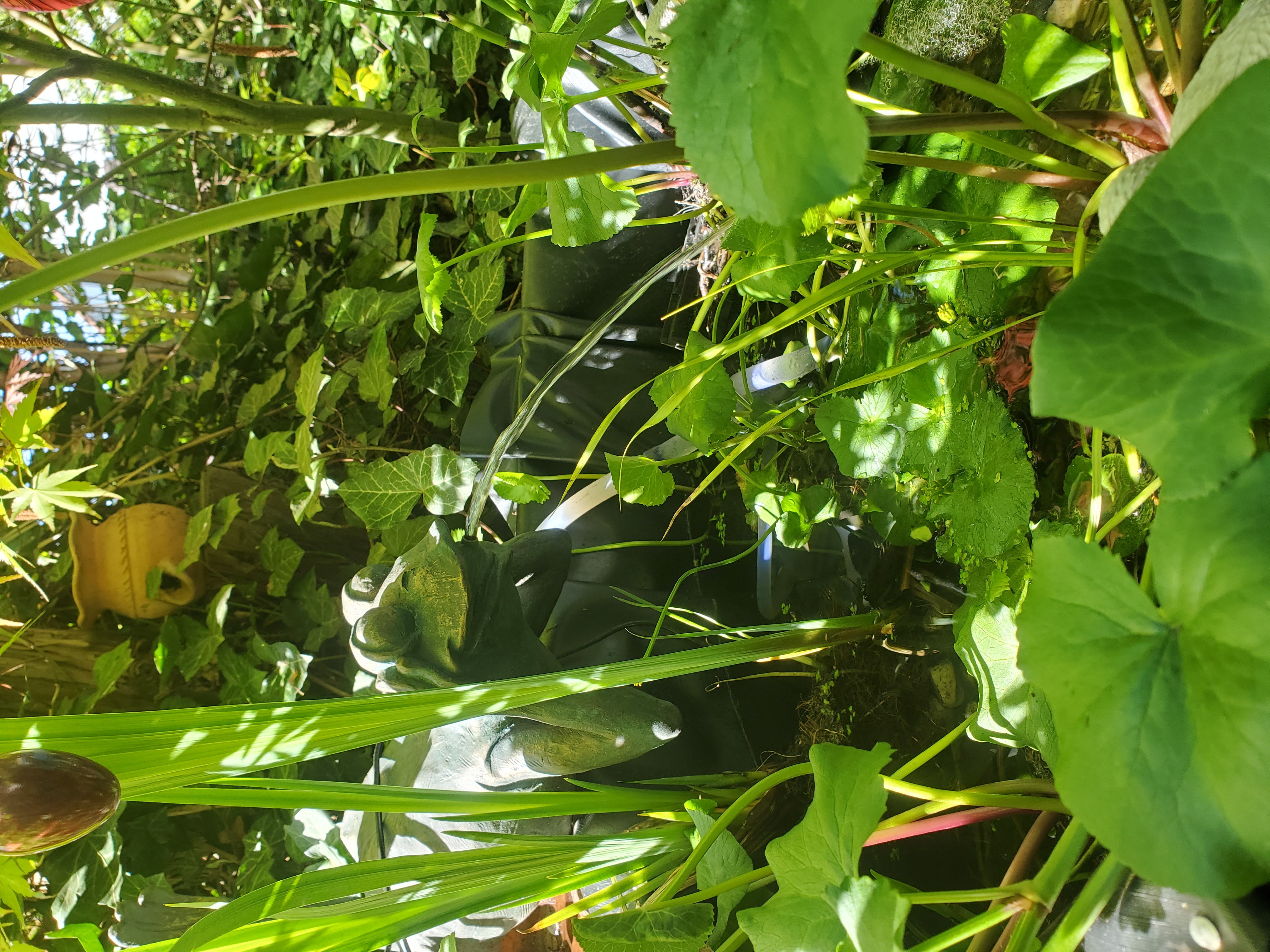 Bilder unserer Kunden