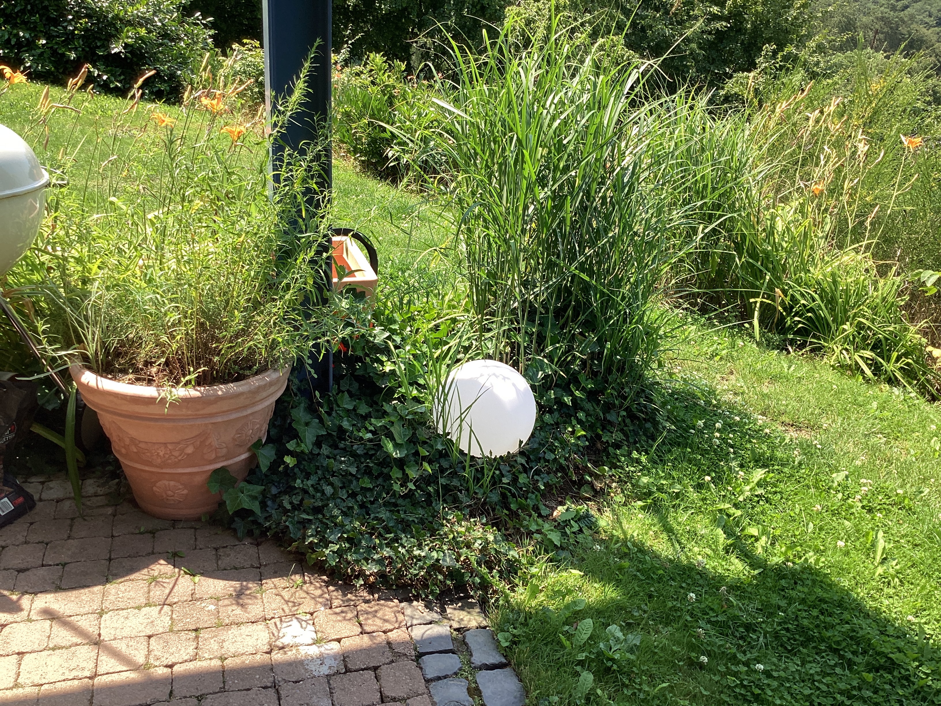 Bilder unserer Kunden