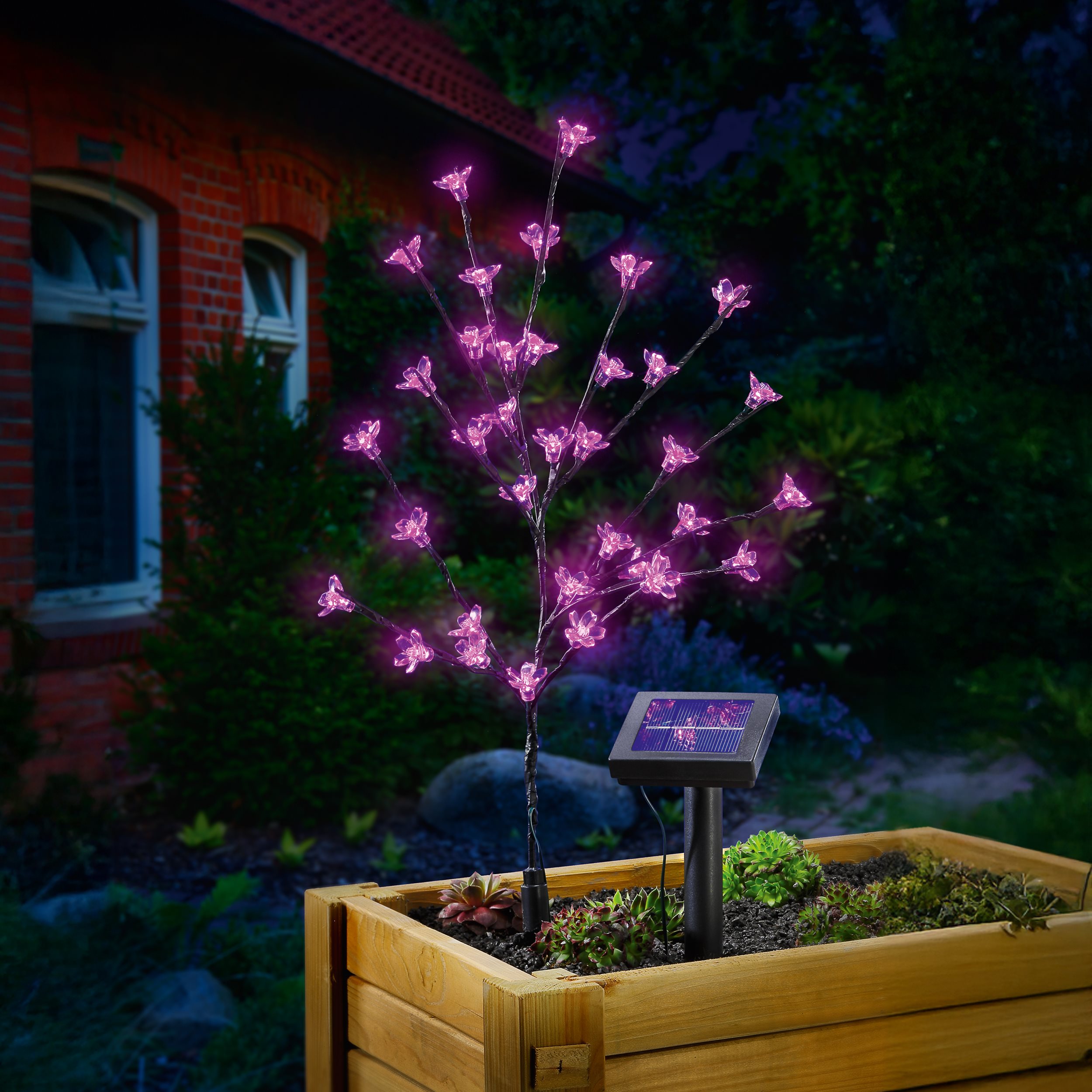 Solar Blütenstrauch mit 36 pinkfarbenen Leuchtblüten