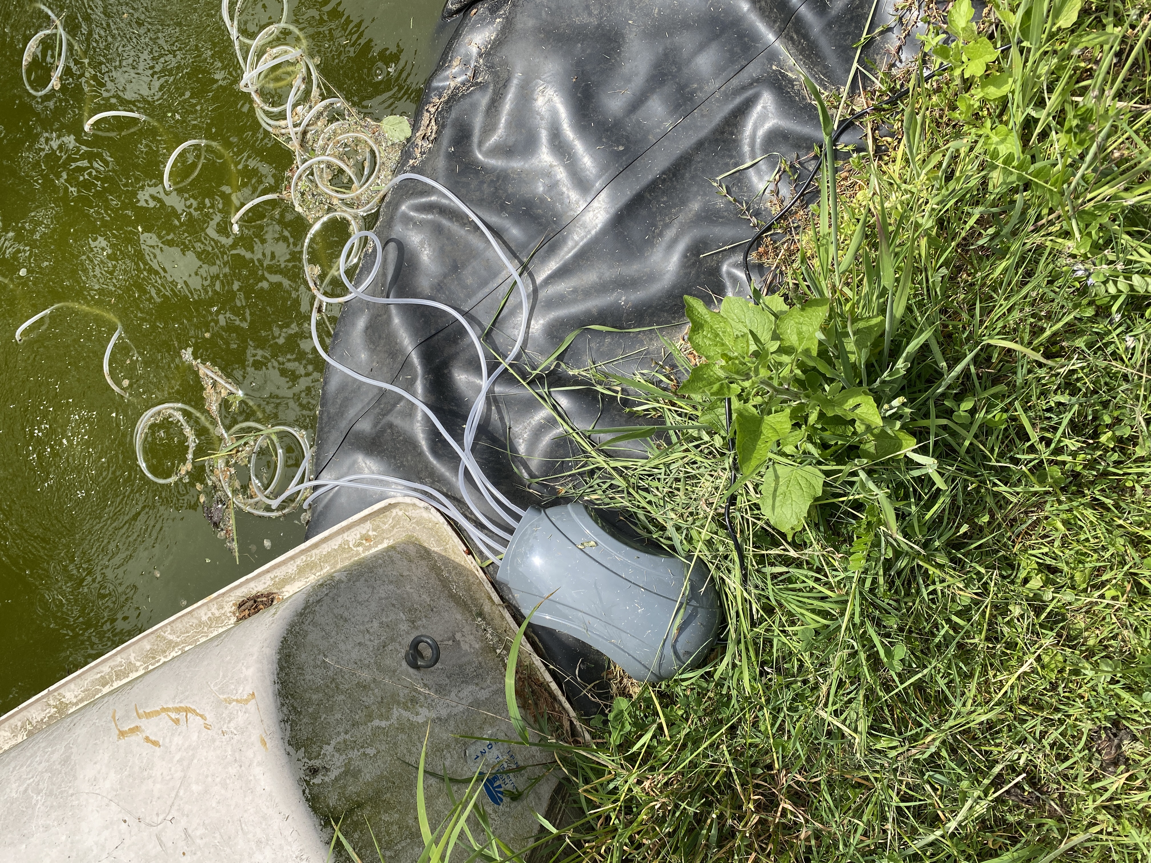 Bilder unserer Kunden