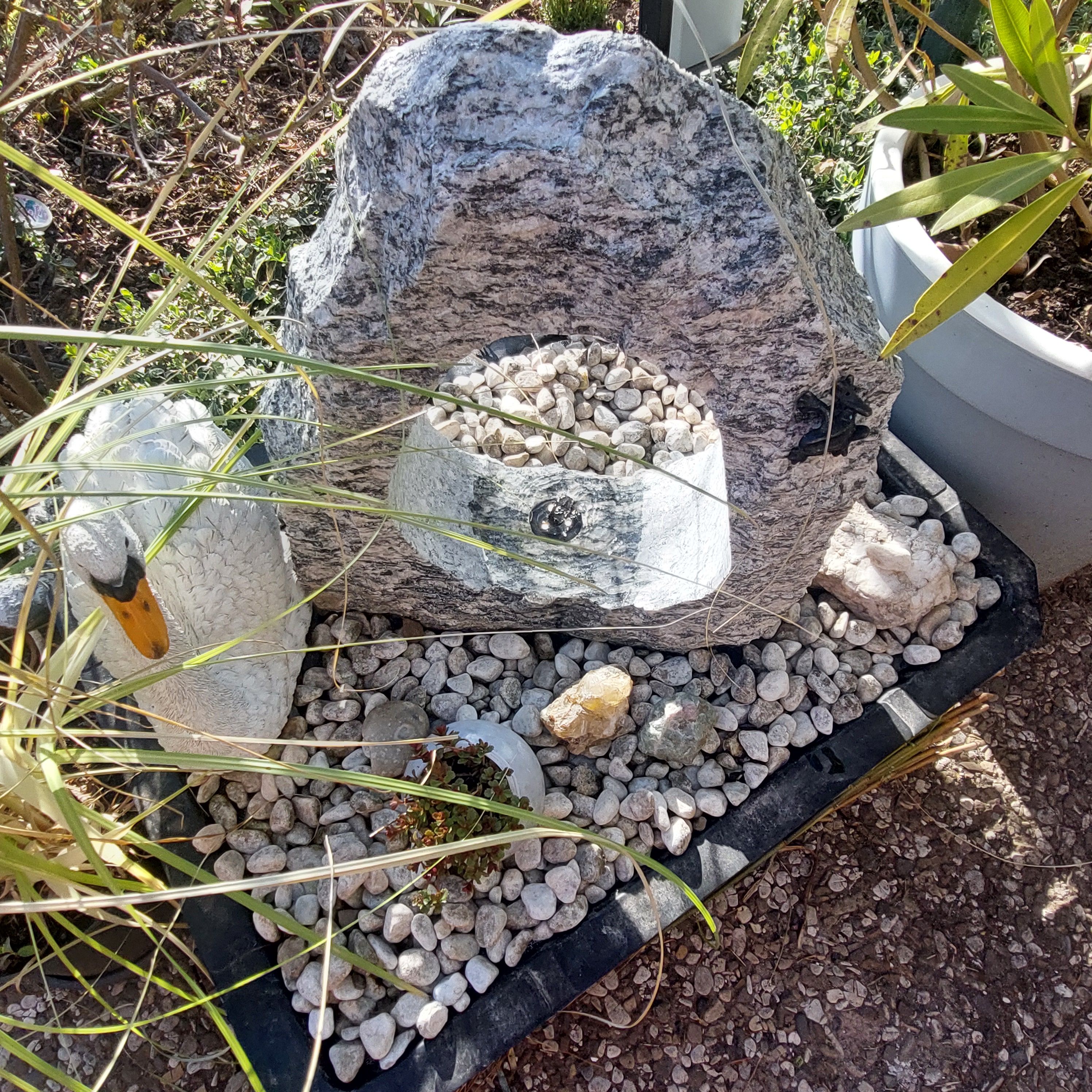Bilder unserer Kunden
