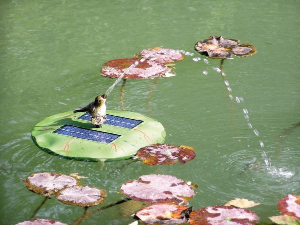 Seerosenaufsatz Vogel