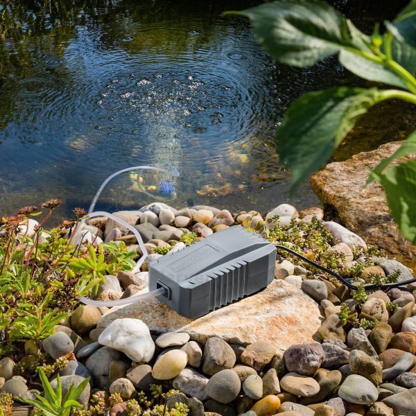 Detail Solar Teichbelüfter 2/130 Professional ✓ direkt vom Hersteller ✓ ab 39€ kostenfreie Lieferung » Jetzt kaufen bei solarversand.de ☆ Onlineshop für Solar Teichpumpen!