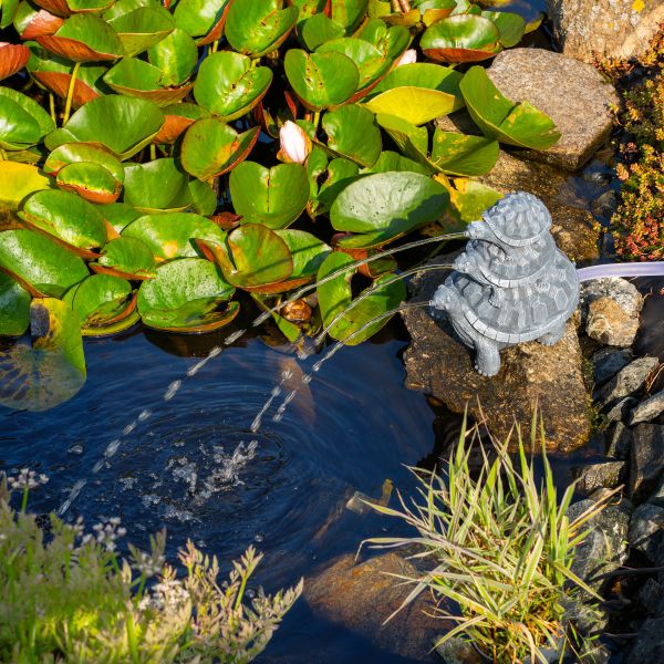 Solar Wasserspeierset "Schildkröten Trio"